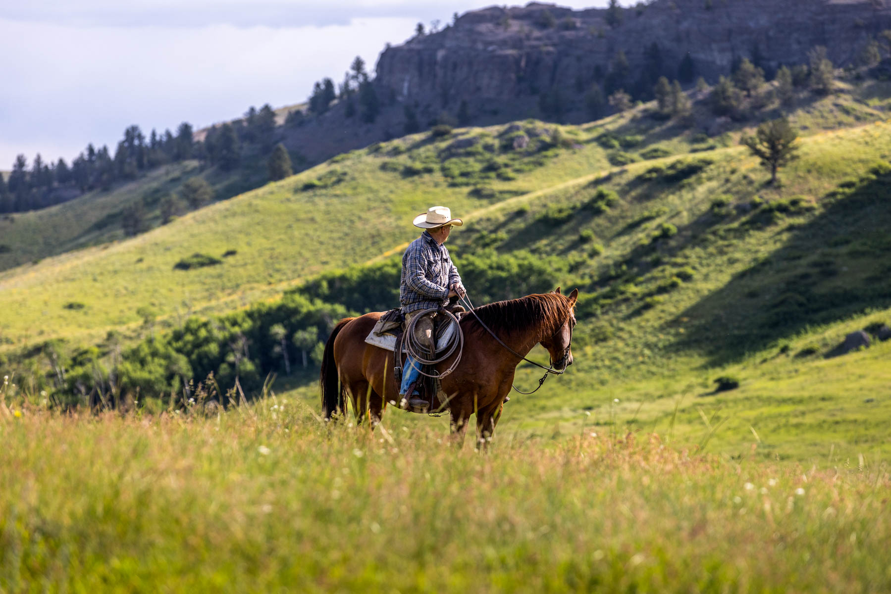 Midnight Canyon Ranch property picture 38 of 72