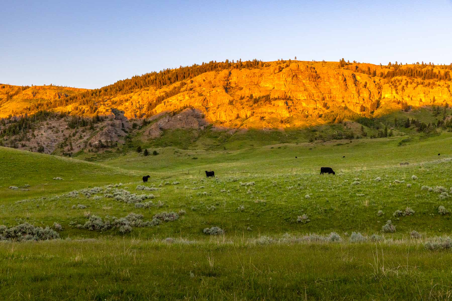 Midnight Canyon Ranch property picture 20 of 72