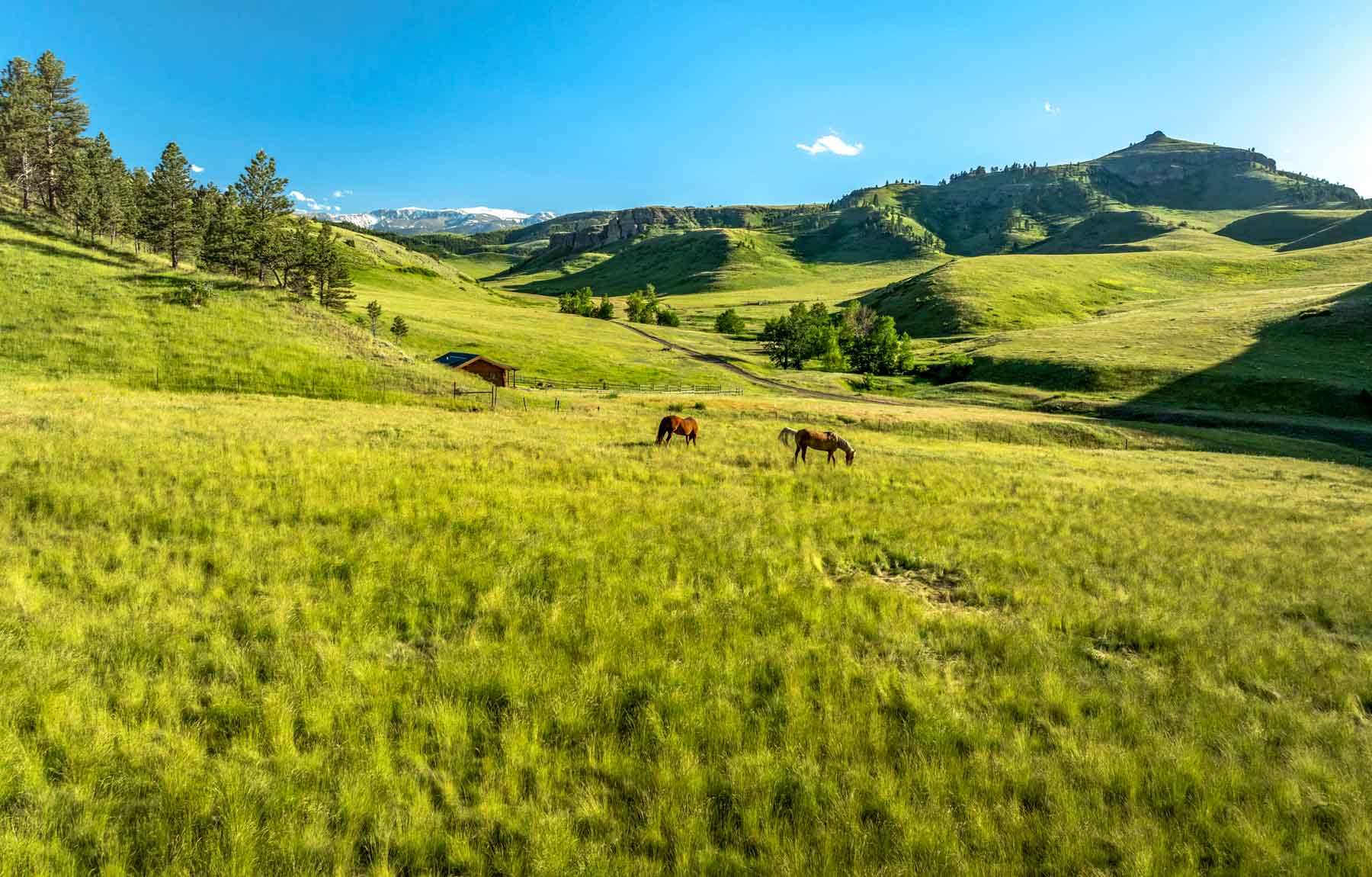 Midnight Canyon Ranch property picture 55 of 72