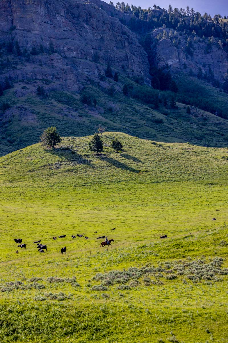 Midnight Canyon Ranch property picture 39 of 72