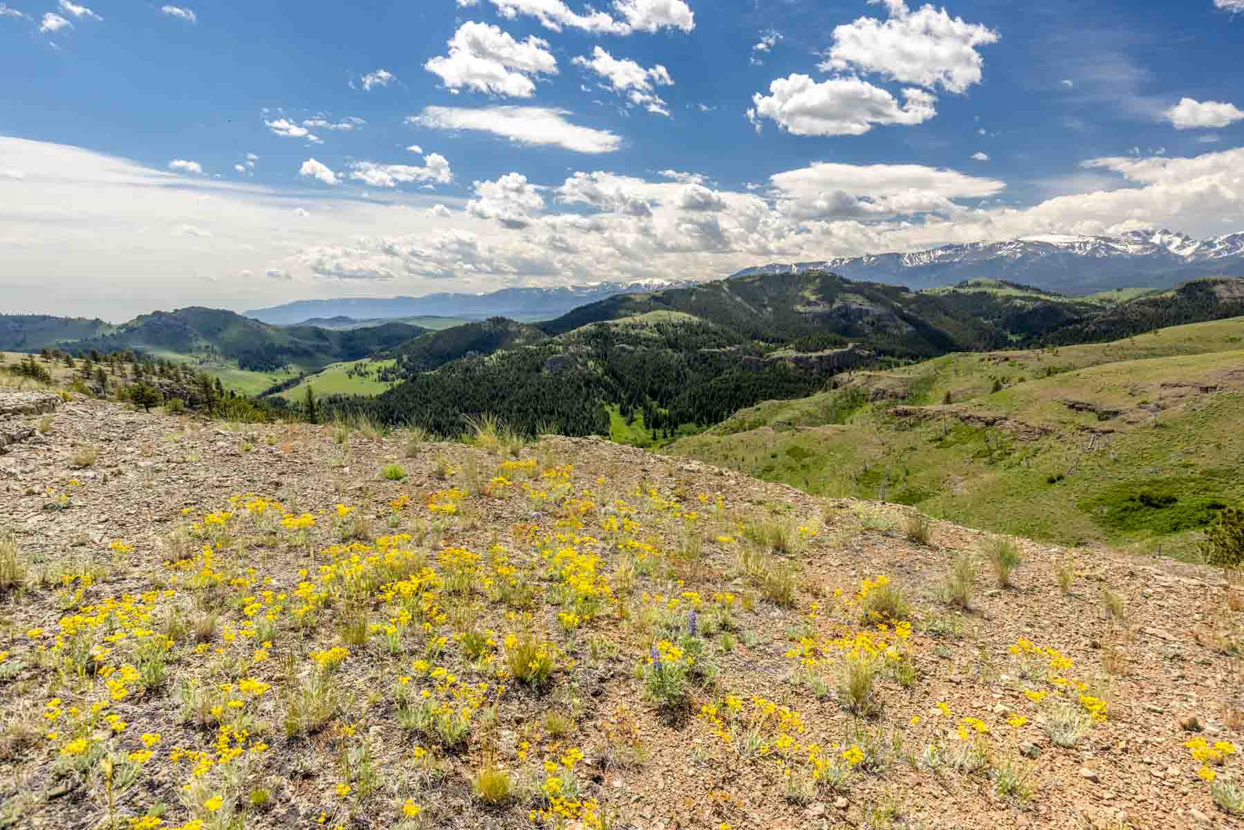 Midnight Canyon Ranch property picture 40 of 72