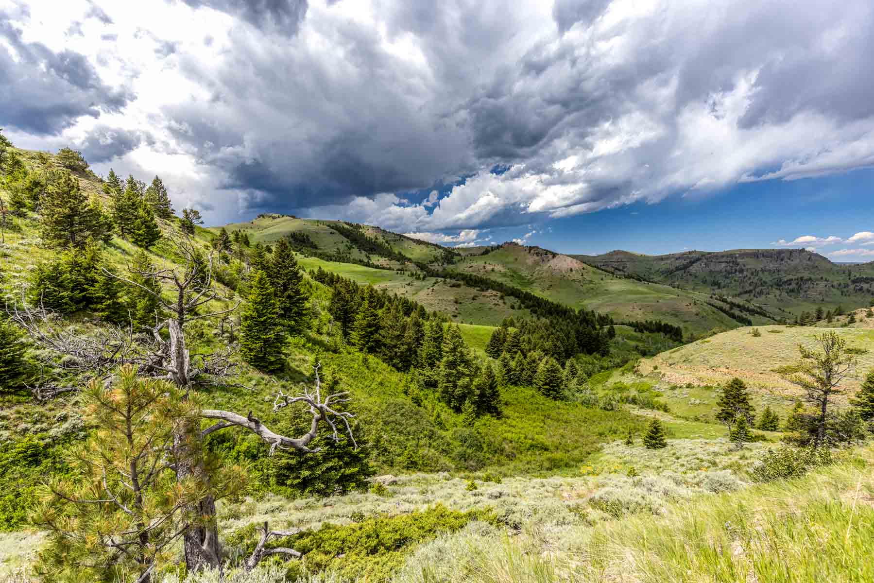 Midnight Canyon Ranch property picture 41 of 72