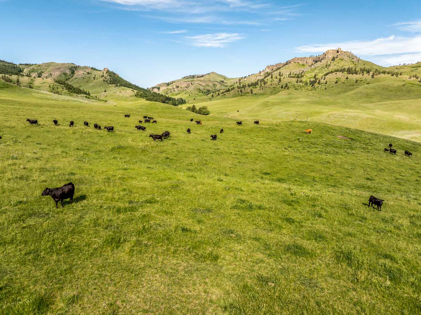 Midnight Canyon Ranch property picture 7 of 72