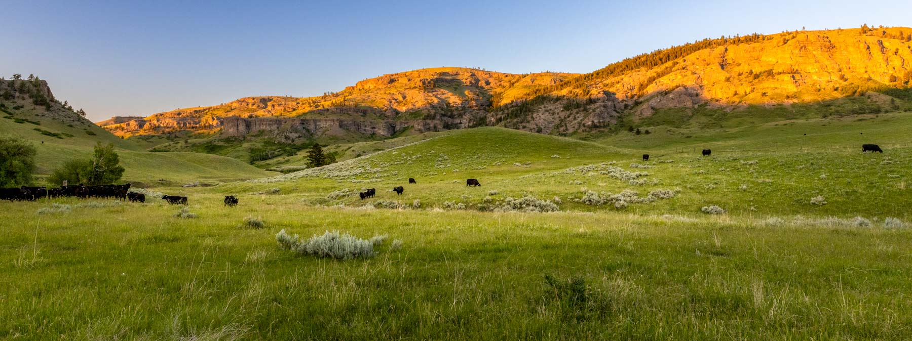 Midnight Canyon Ranch property picture 21 of 72