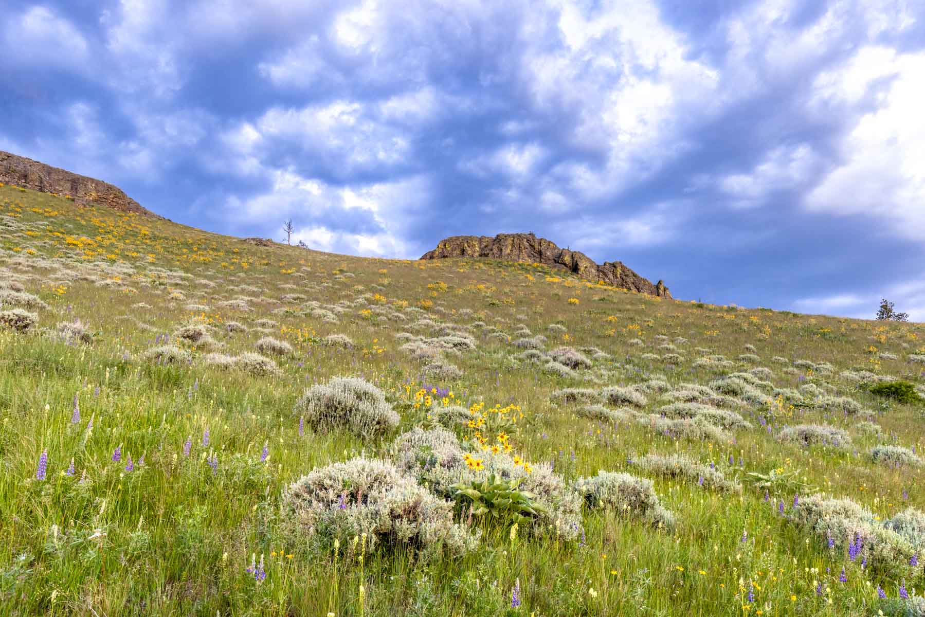 Midnight Canyon Ranch property picture 35 of 72