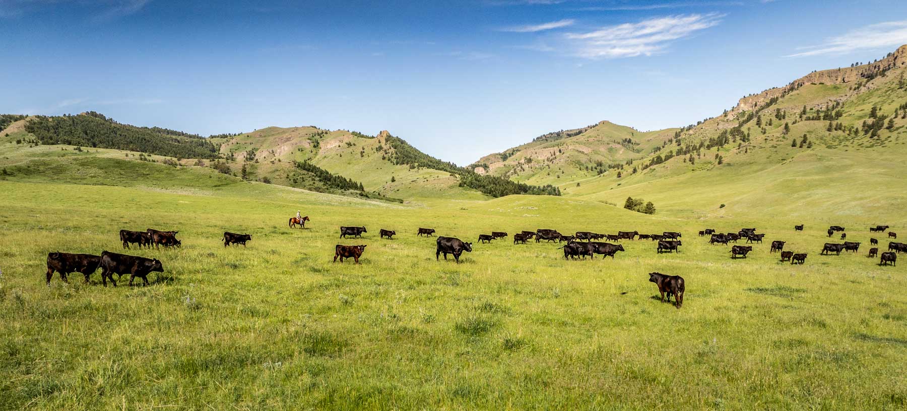 Midnight Canyon Ranch property picture 8 of 72