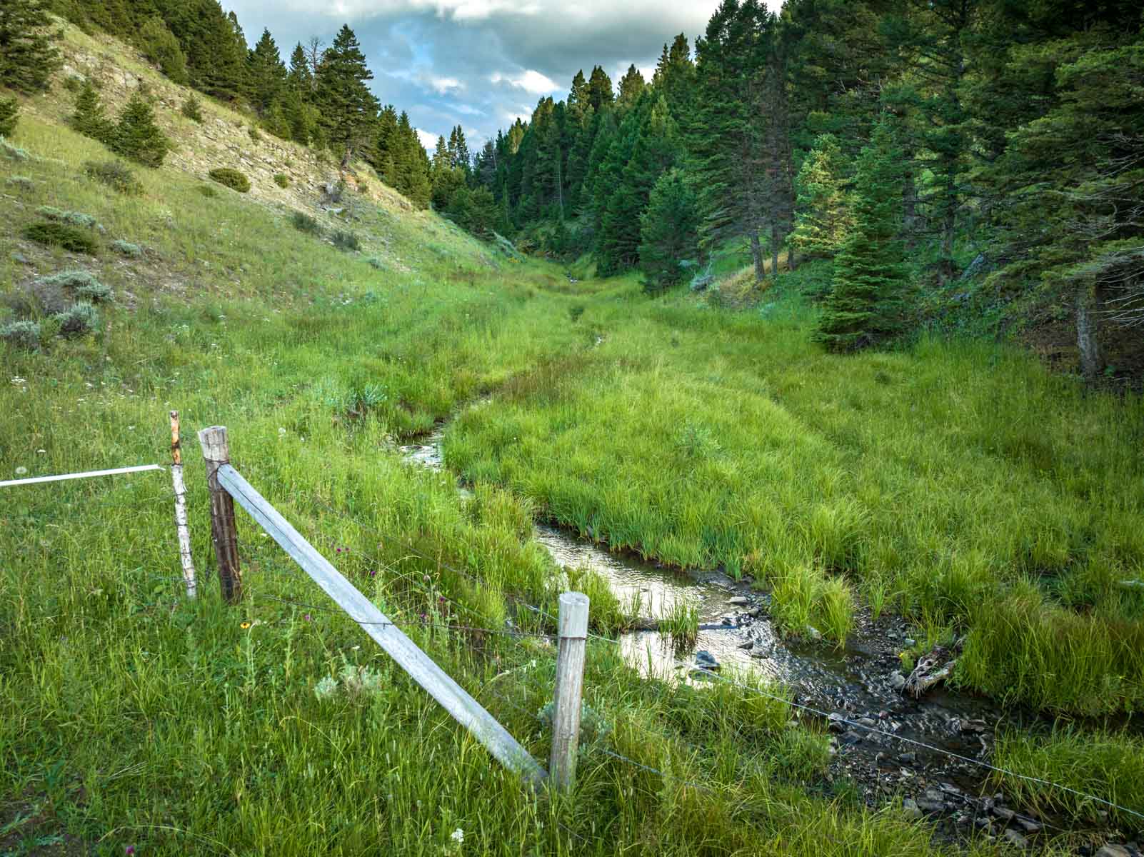 North Bridger Mountain Ranch property picture 9 of 46