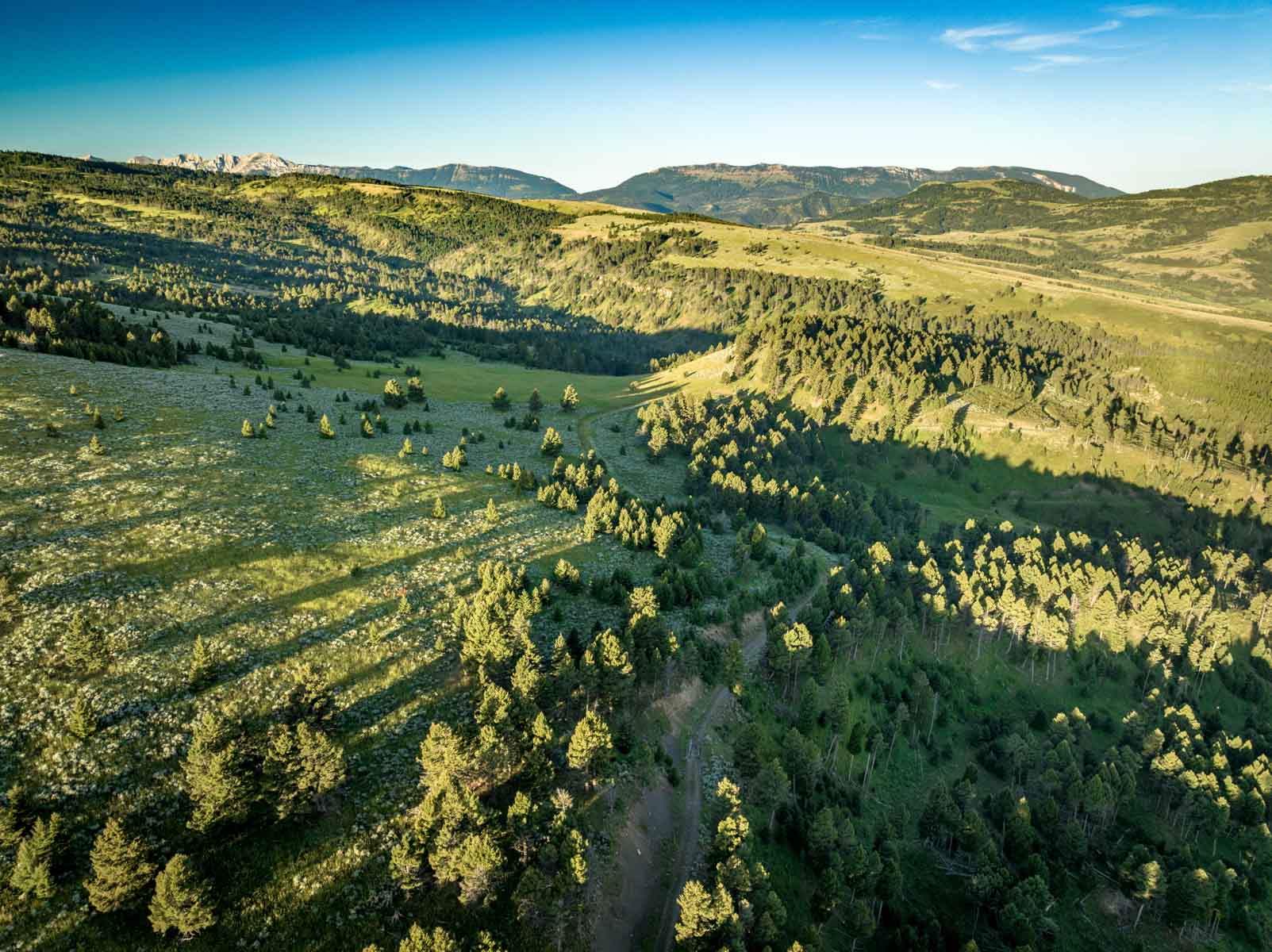 North Bridger Mountain Ranch property picture 34 of 46