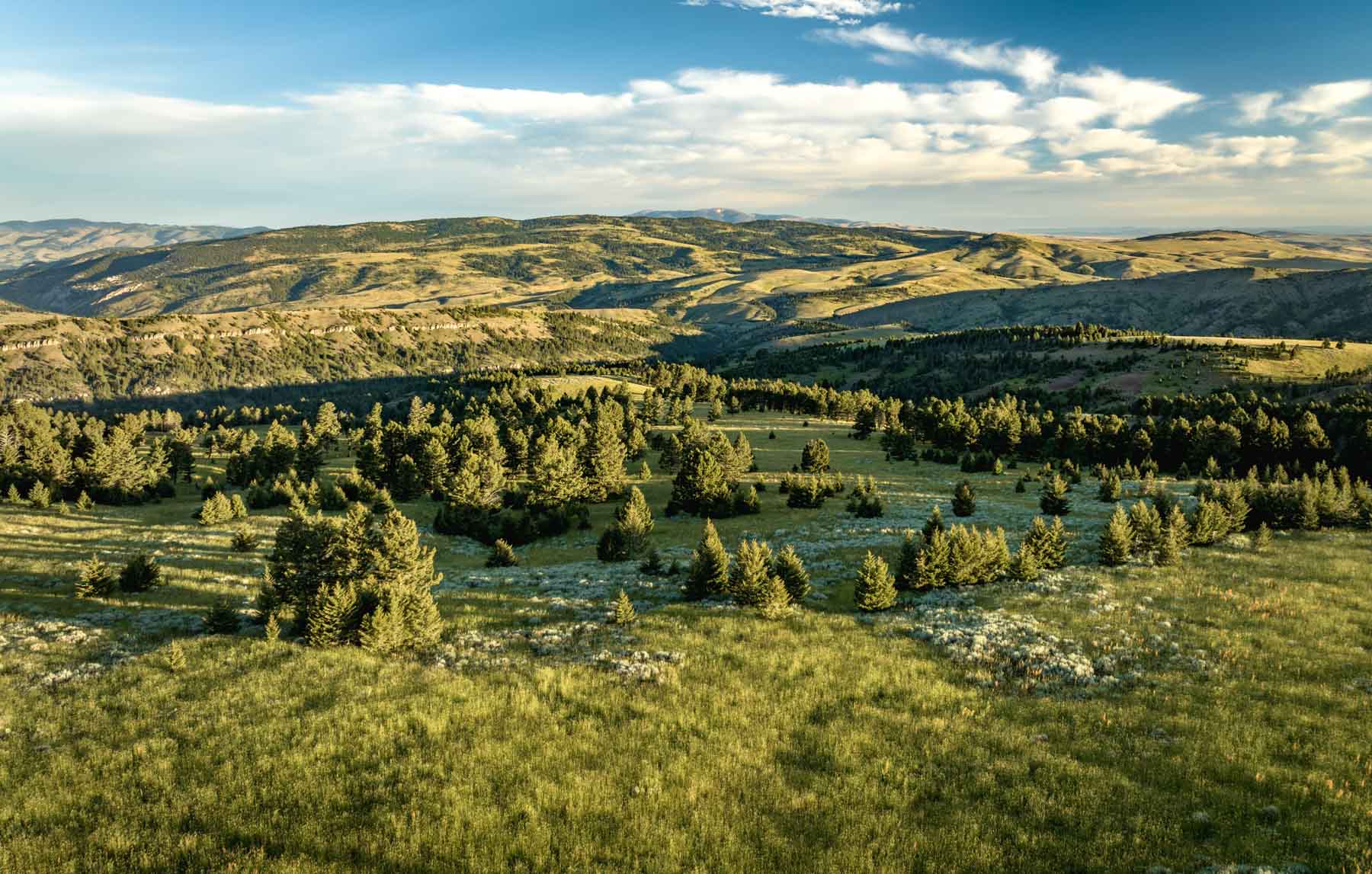 North Bridger Mountain Ranch property picture 39 of 46