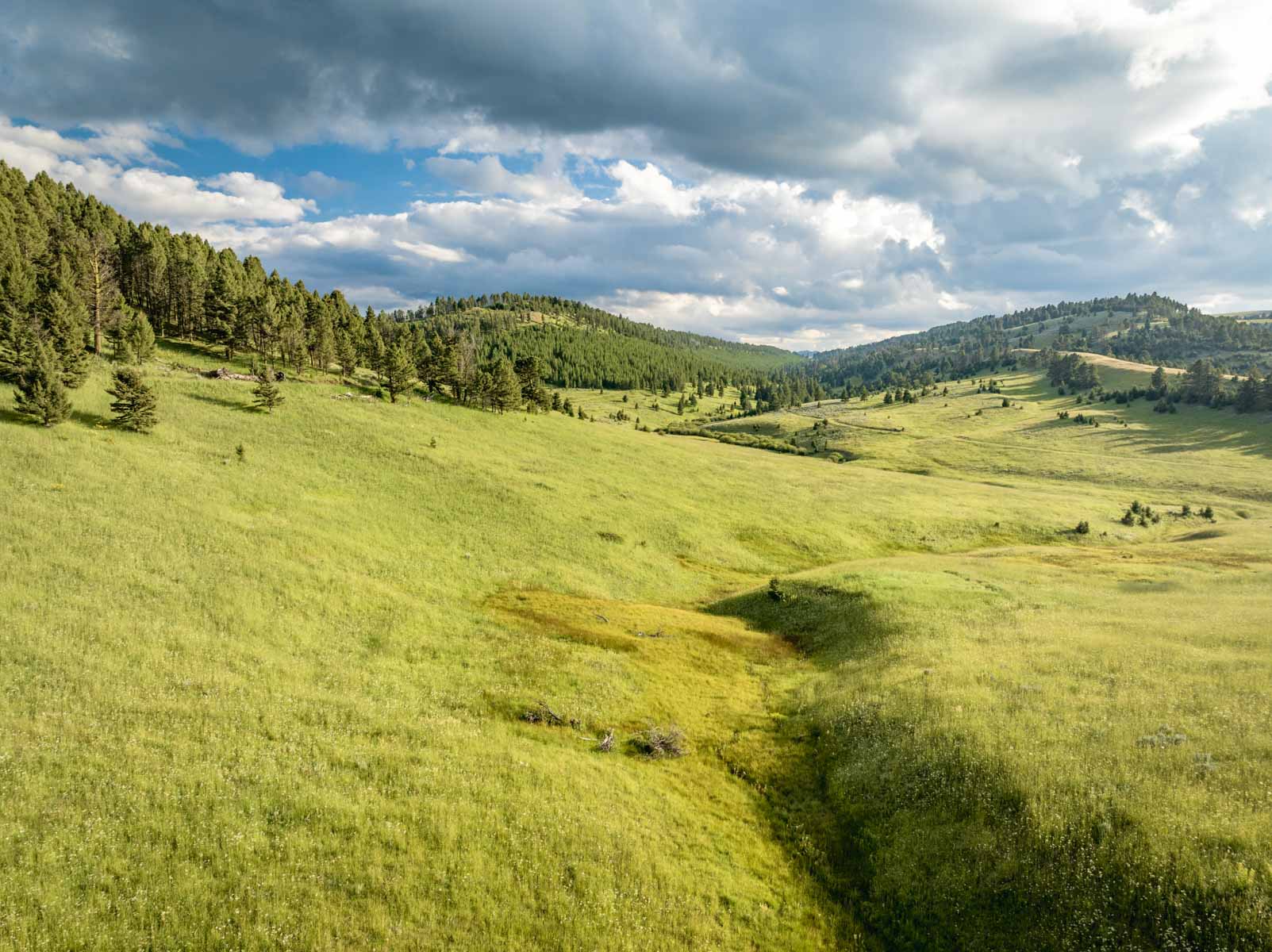 North Bridger Mountain Ranch property picture 4 of 46