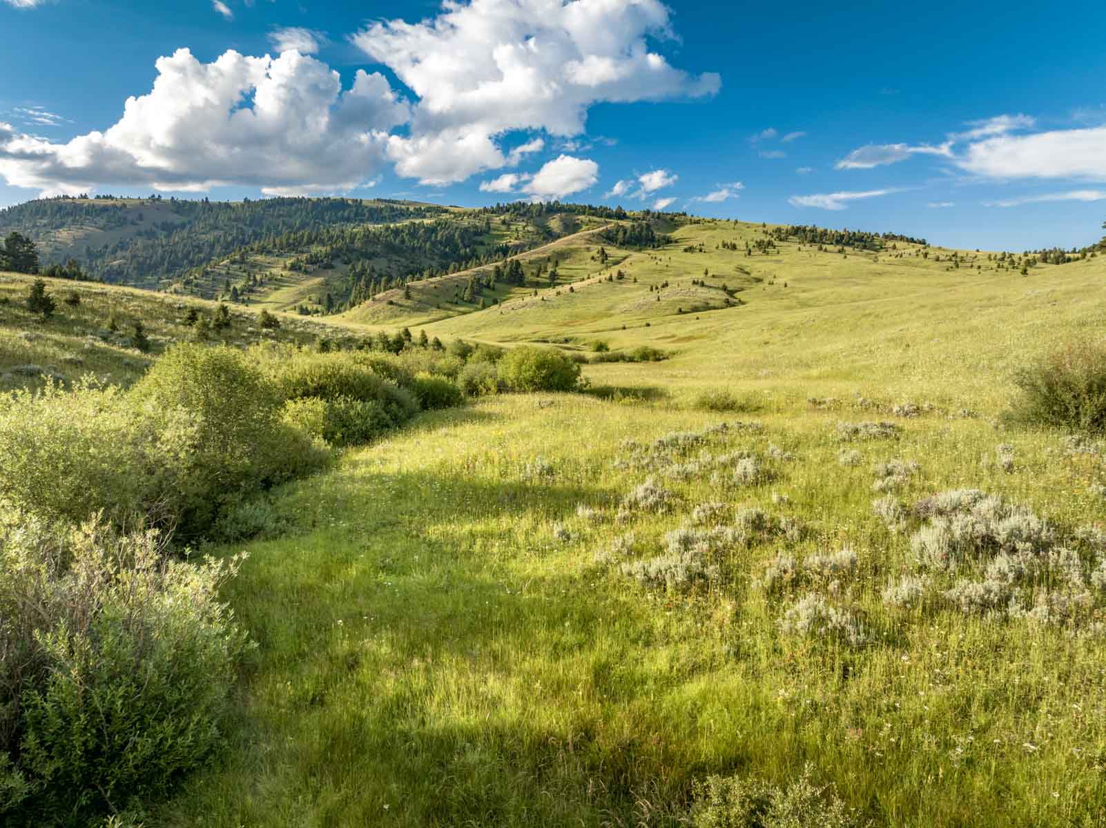 North Bridger Mountain Ranch For Sale Montana Hall and Hall