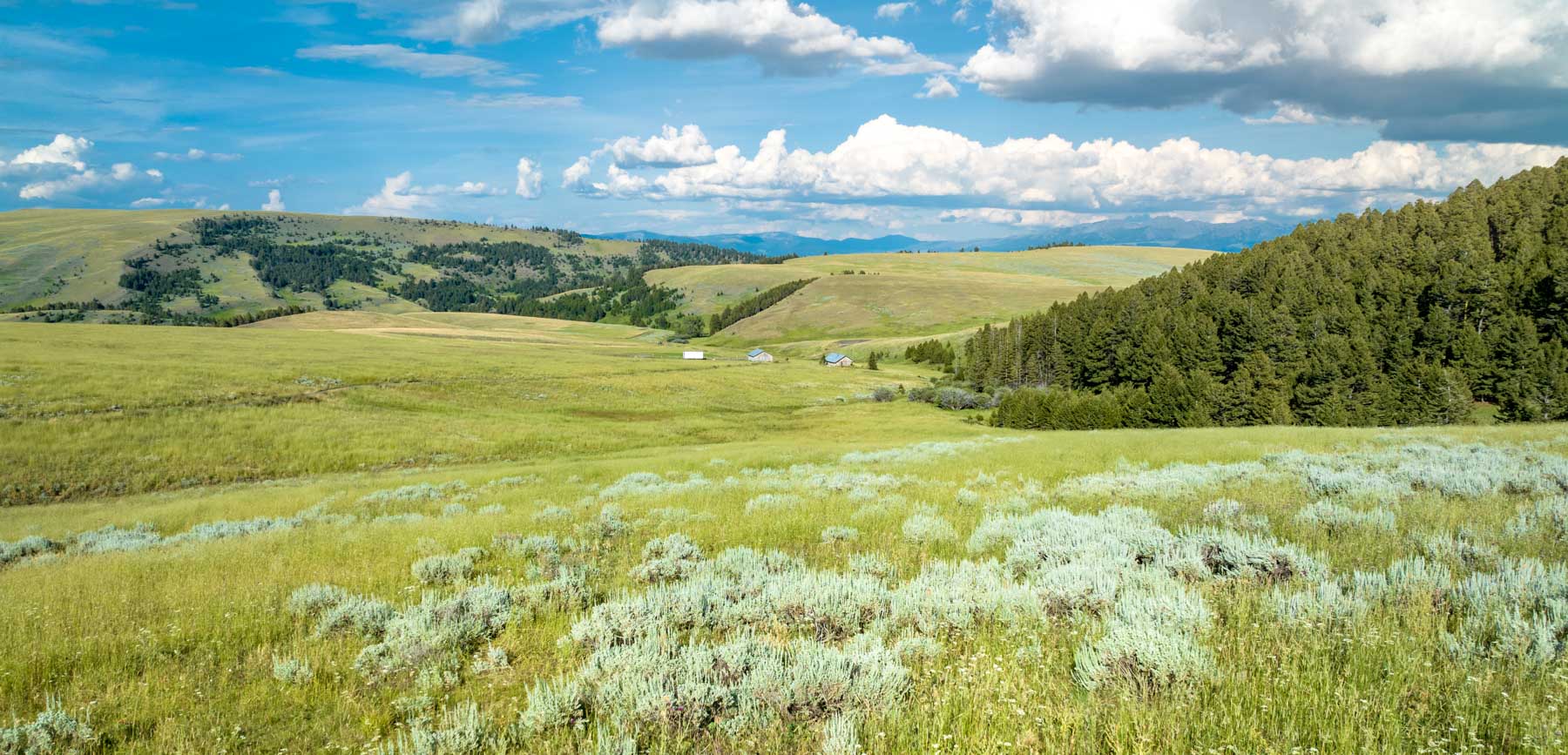 North Bridger Mountain Ranch property picture 10 of 46