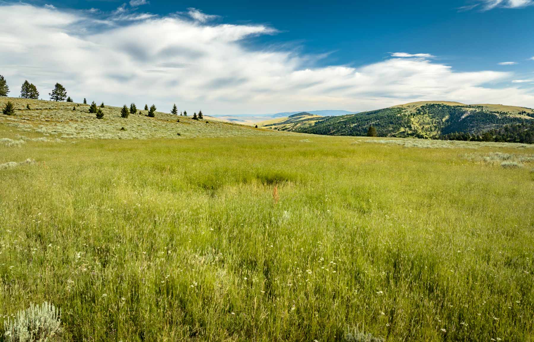 North Bridger Mountain Ranch For Sale Montana Hall and Hall