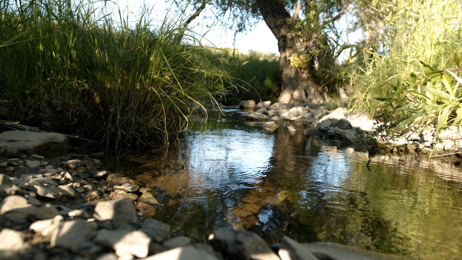 North Bridger Mountain Ranch property picture 41 of 46