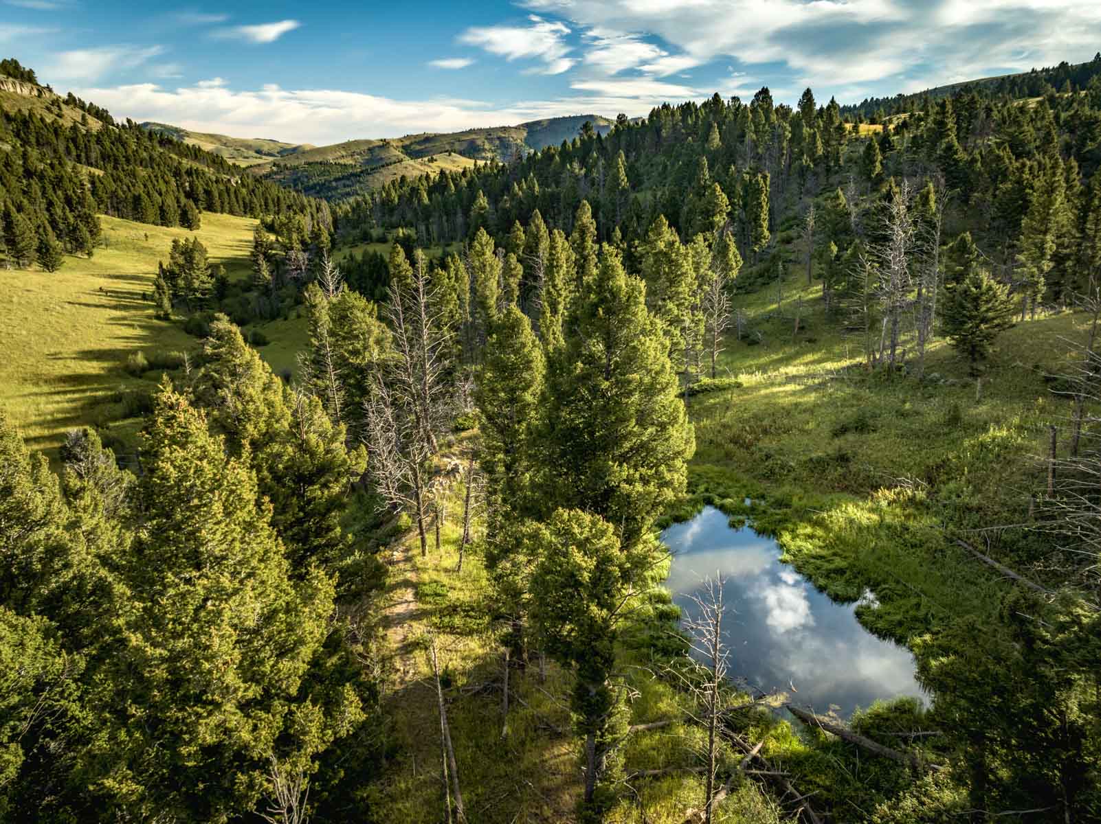 North Bridger Mountain Ranch For Sale Montana Hall and Hall