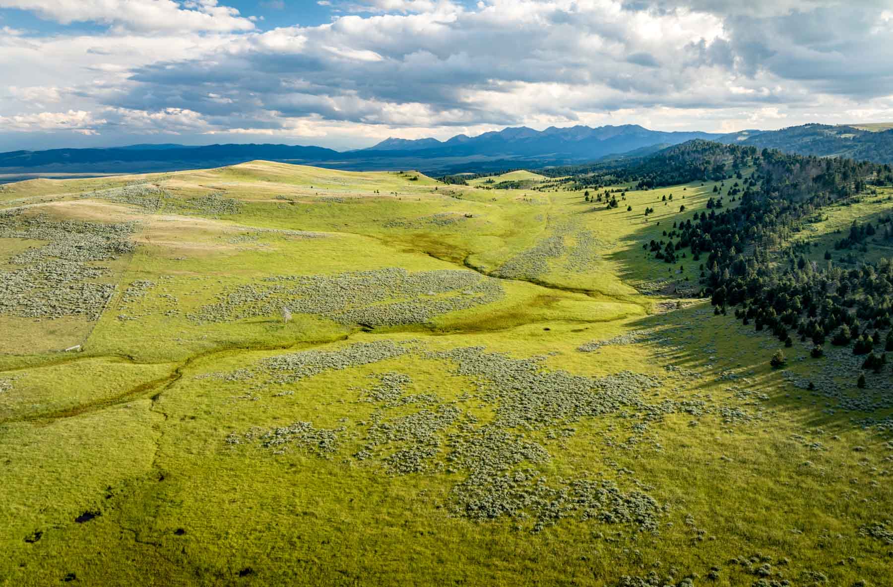 North Bridger Mountain Ranch property picture 6 of 46