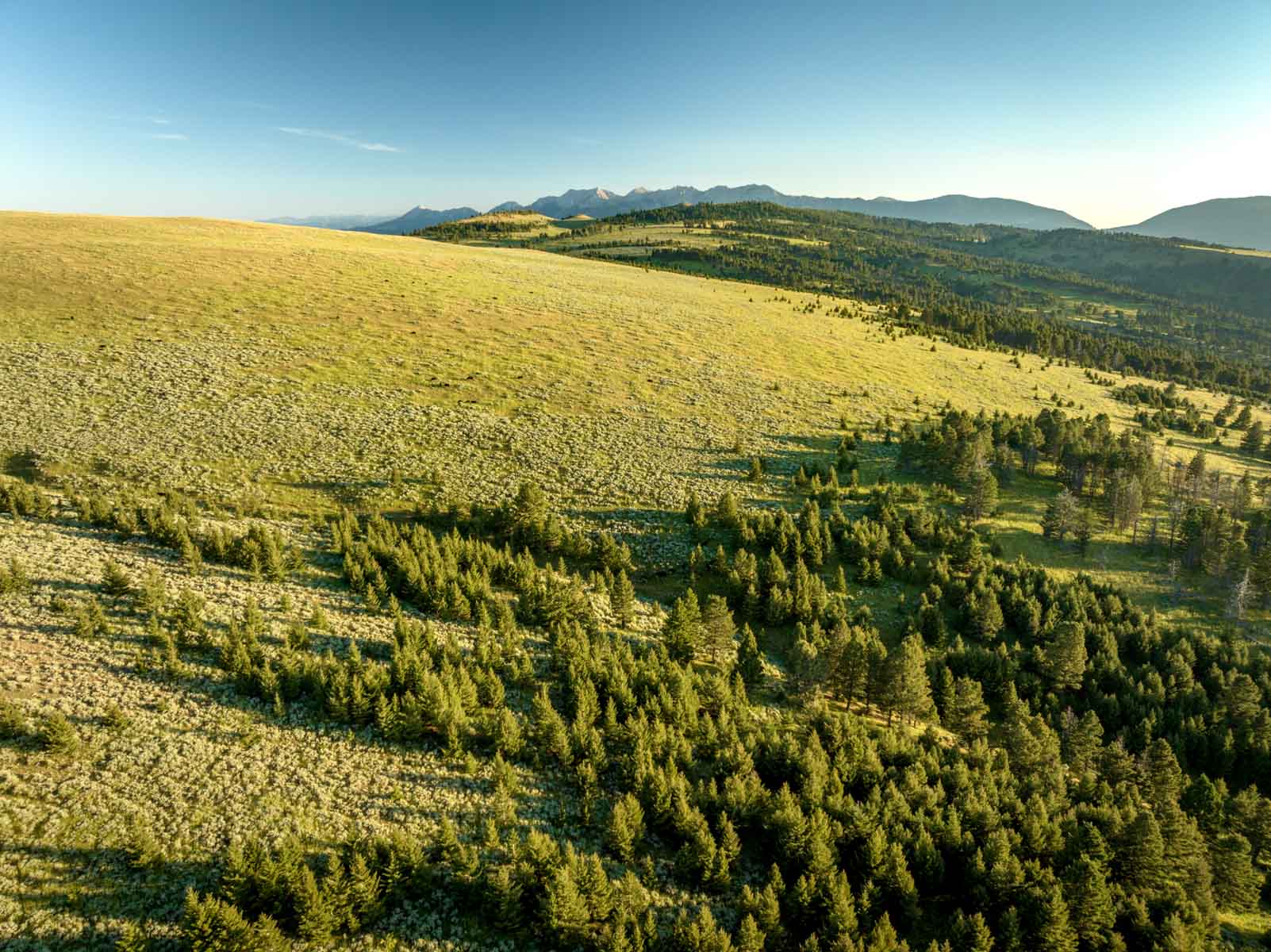 North Bridger Mountain Ranch property picture 15 of 46