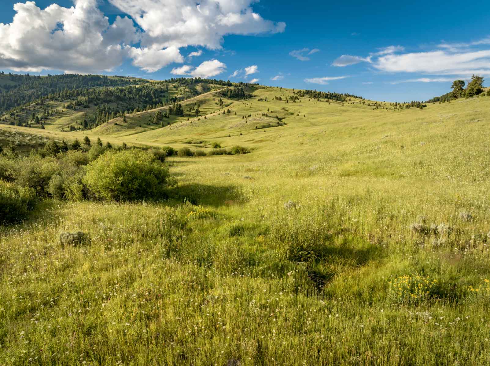 North Bridger Mountain Ranch property picture 43 of 46