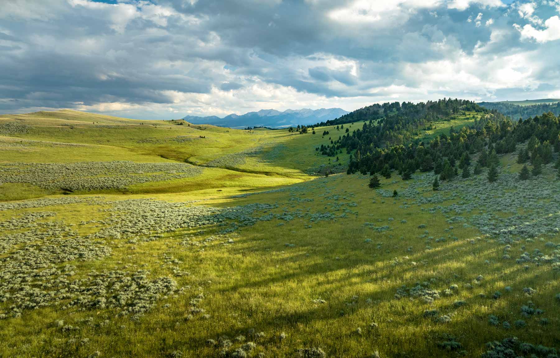 North Bridger Mountain Ranch property picture 42 of 46