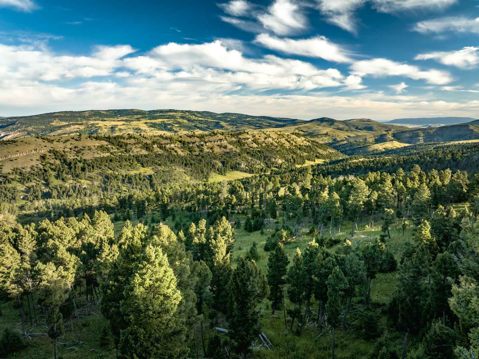 North Bridger Mountain Ranch property picture 25 of 46