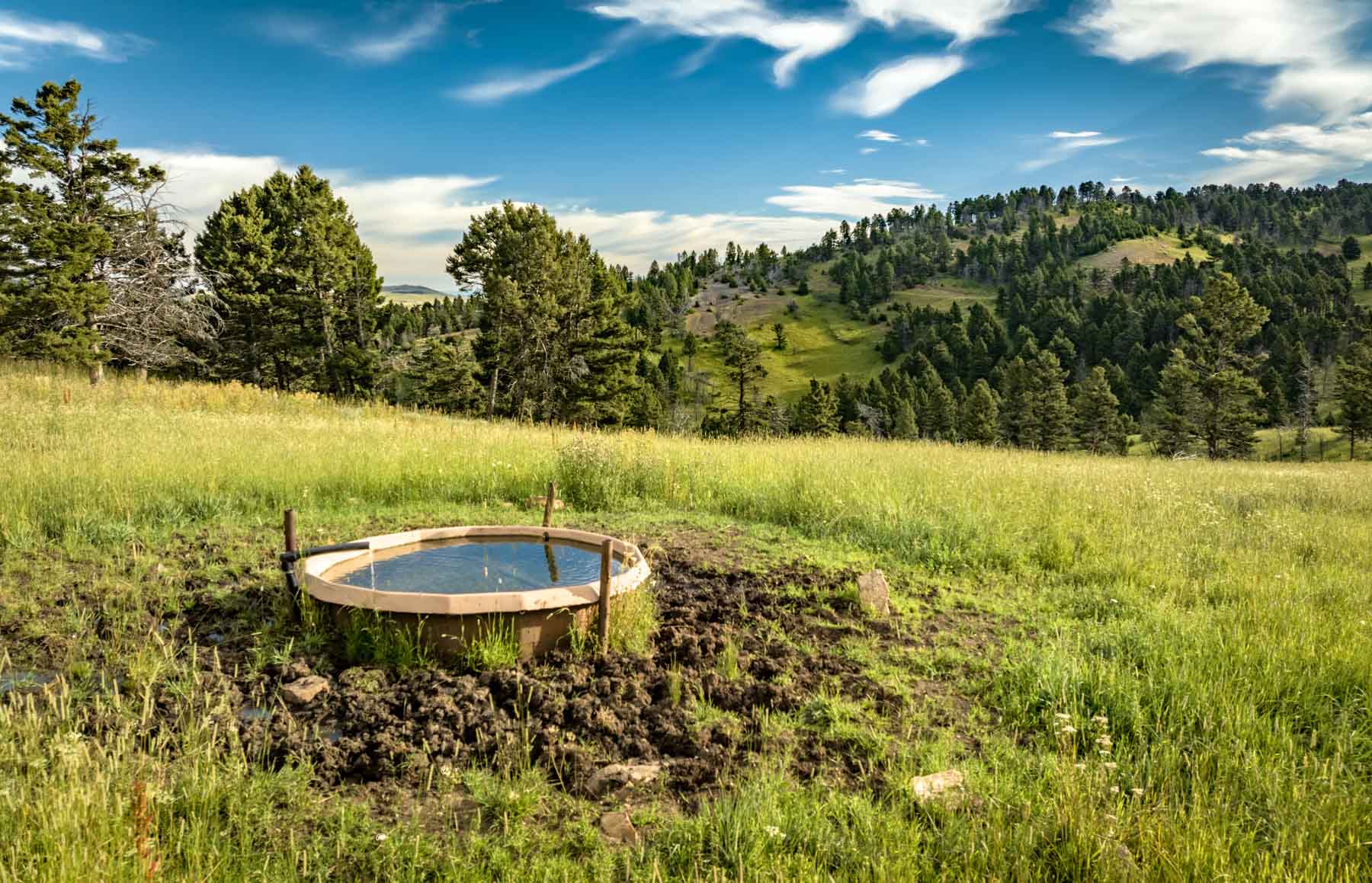 North Bridger Mountain Ranch property picture 24 of 46