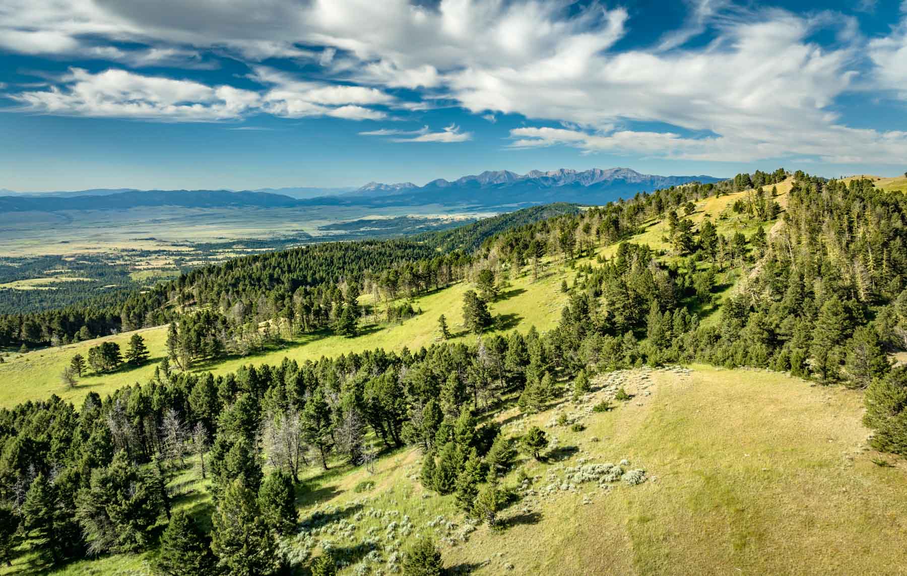 North Bridger Mountain Ranch For Sale Montana Hall and Hall