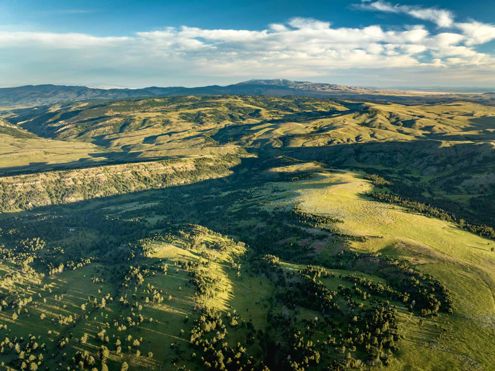 North Bridger Mountain Ranch For Sale Montana Hall and Hall