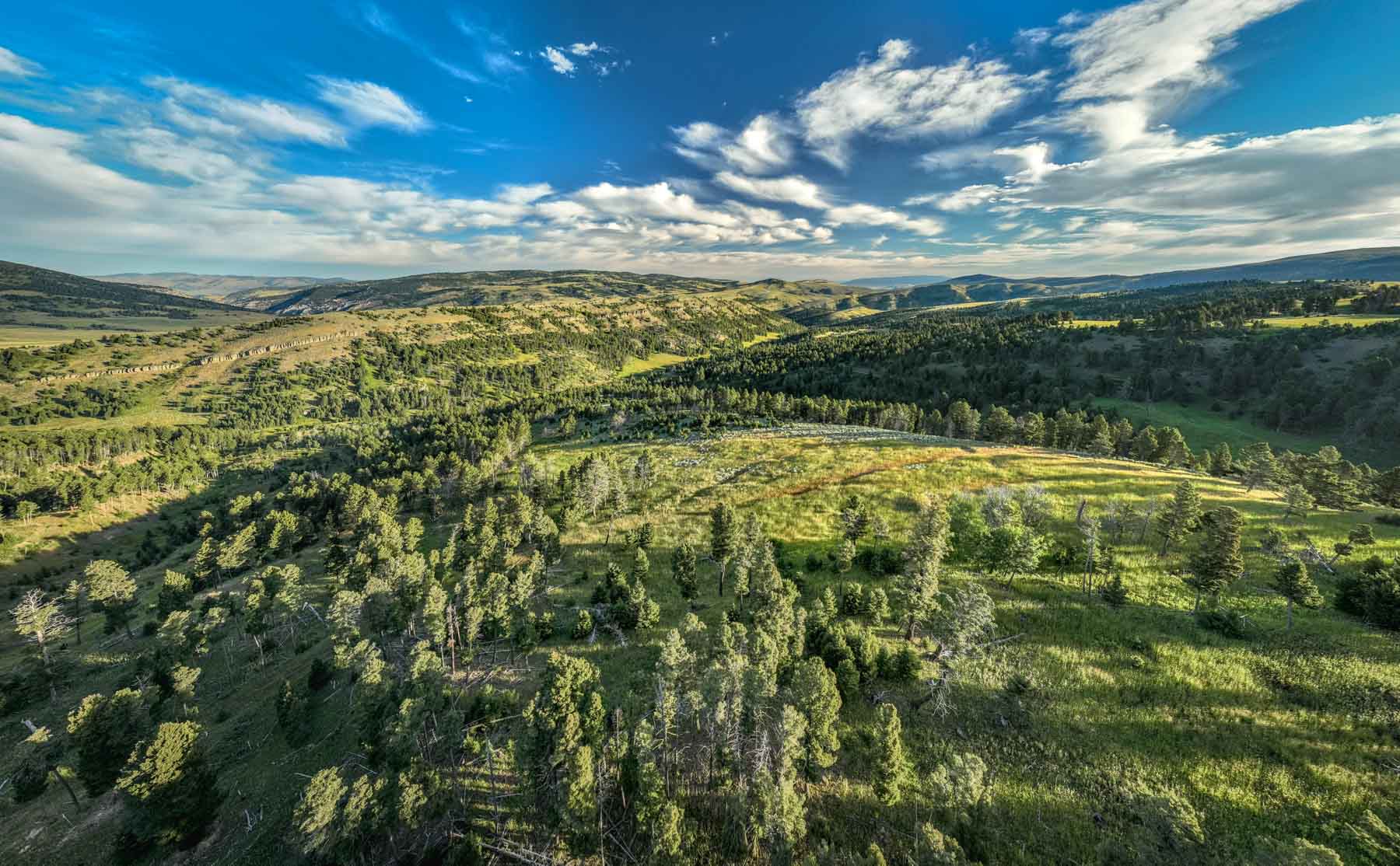 North Bridger Mountain Ranch property picture 38 of 46