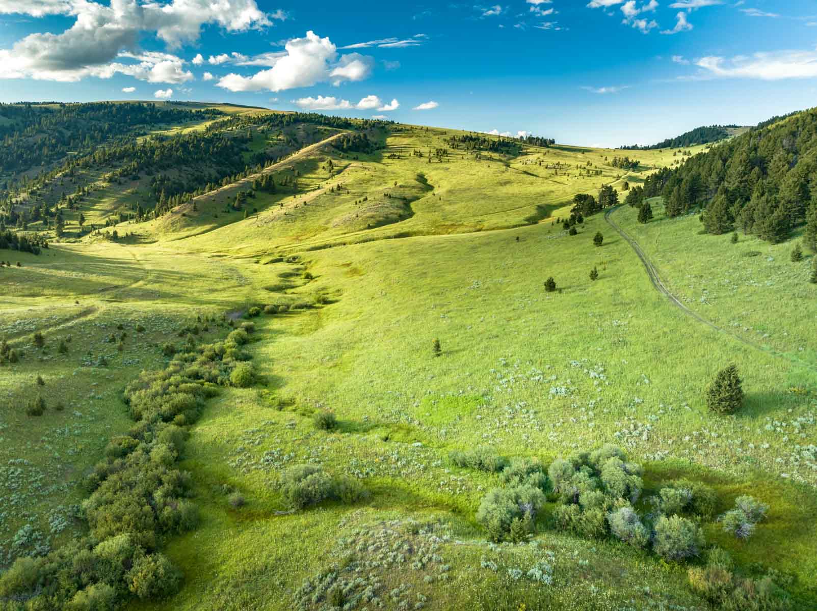 North Bridger Mountain Ranch property picture 8 of 46