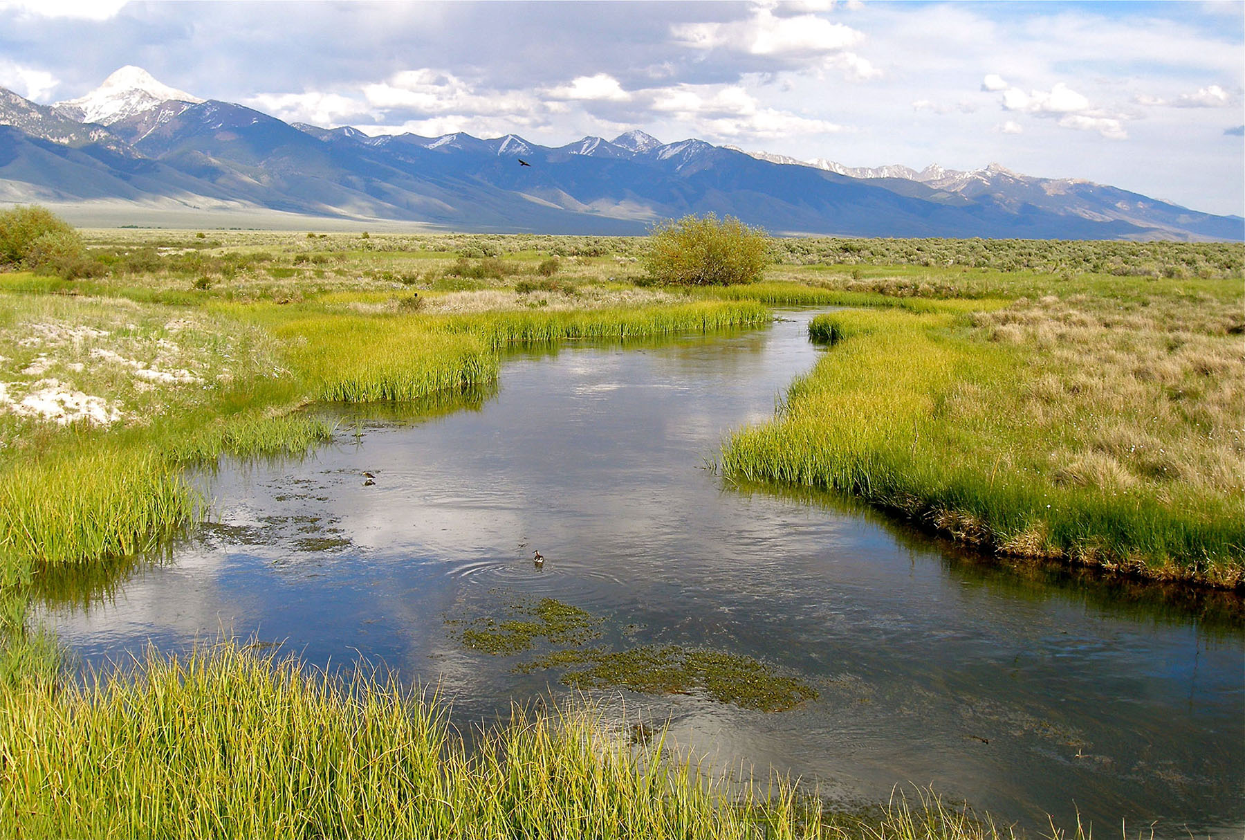 Little Lost River Valley Ranch property picture 43 of 96