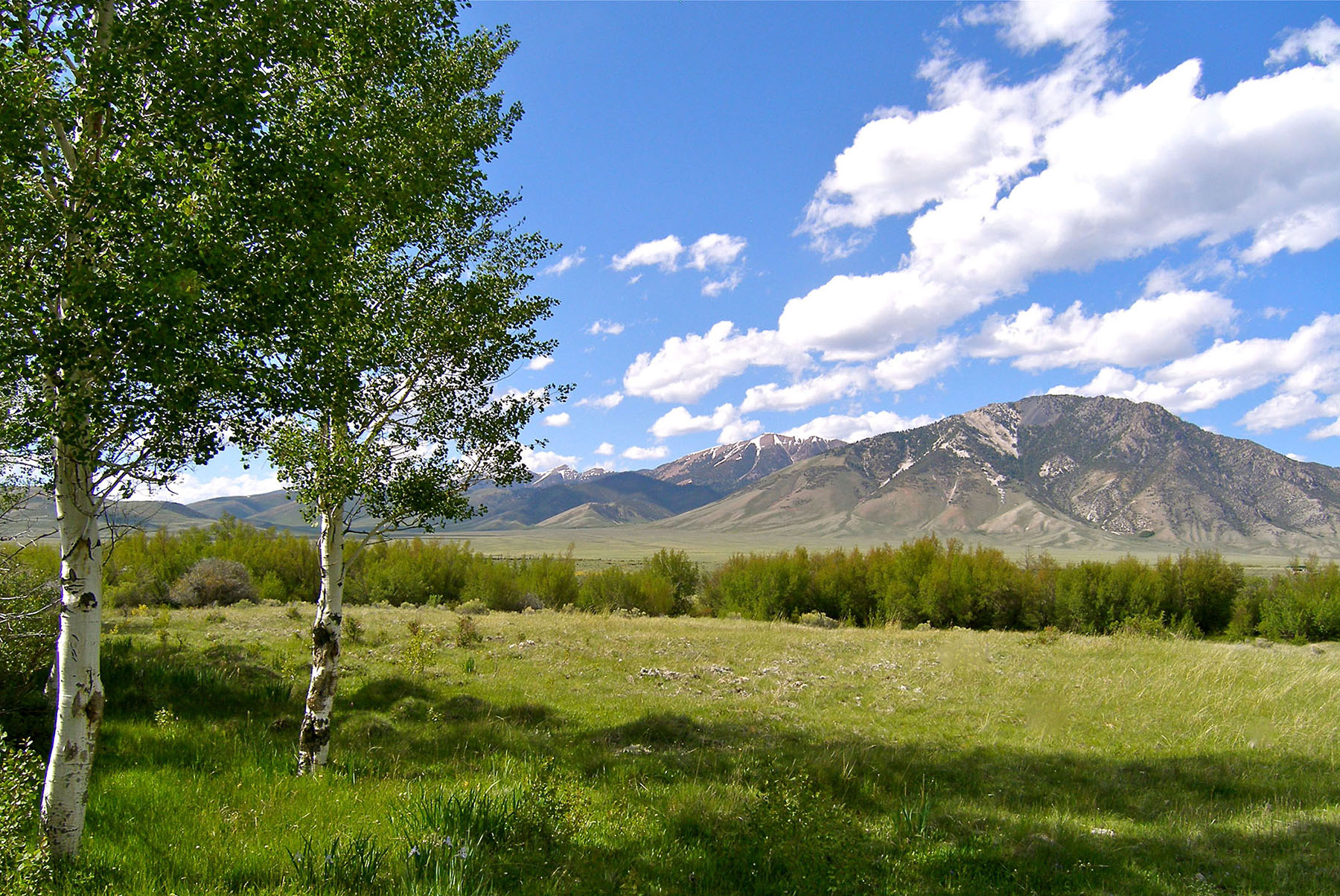 Little Lost River Valley Ranch property picture 35 of 96