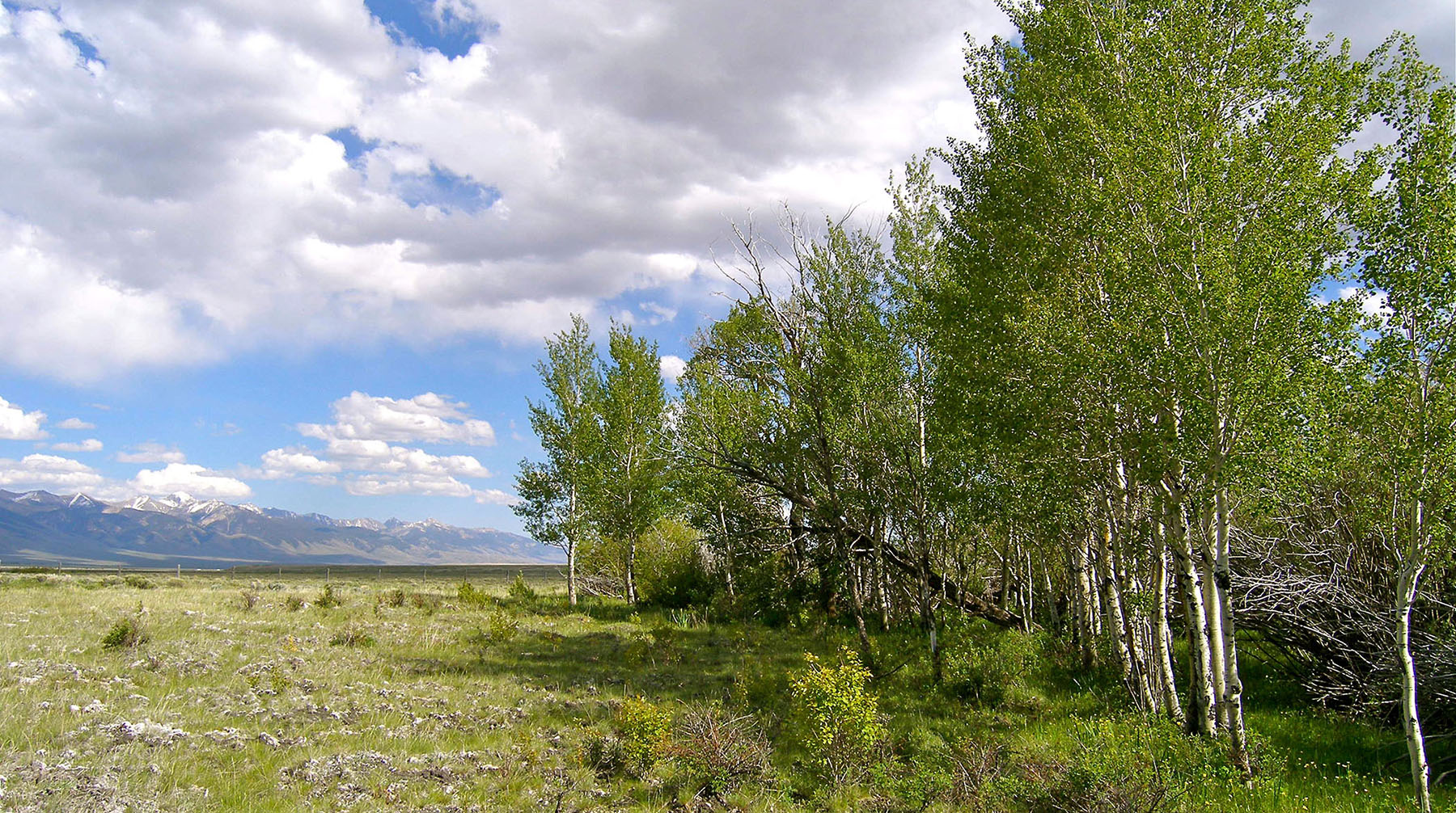 Little Lost River Valley Ranch property picture 36 of 96