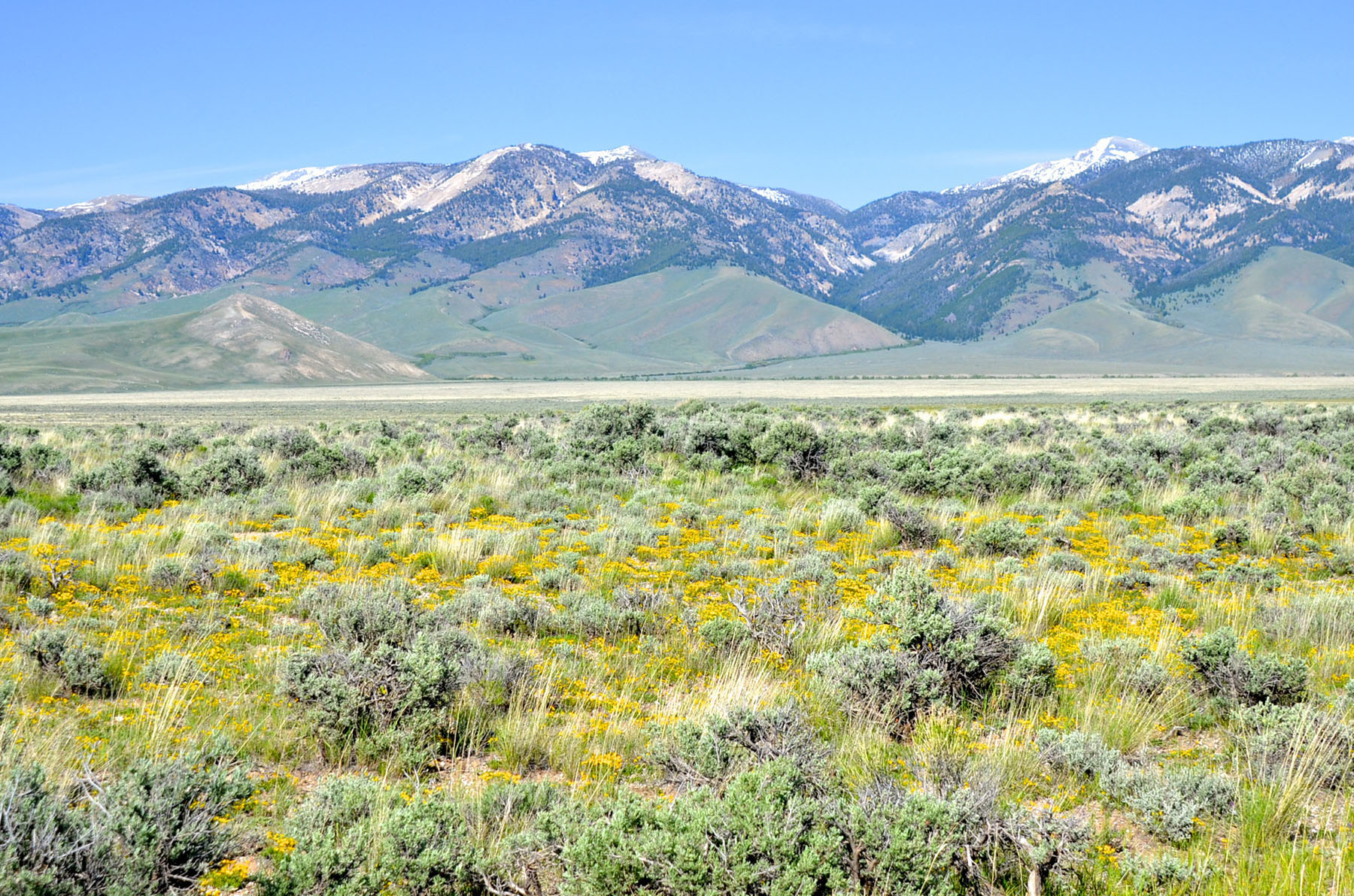 Little Lost River Valley Ranch property picture 84 of 96