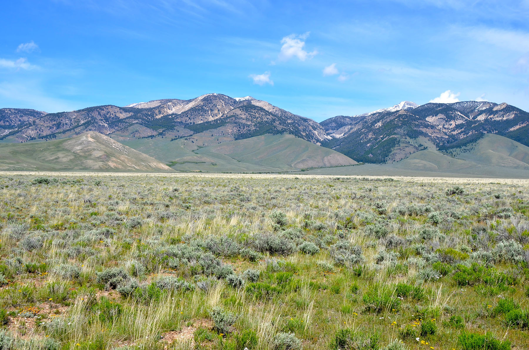 Little Lost River Valley Ranch property picture 86 of 96