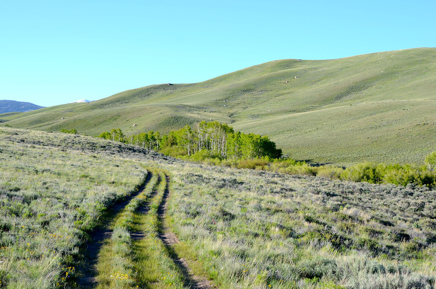 Little Lost River Valley Ranch property picture 90 of 96