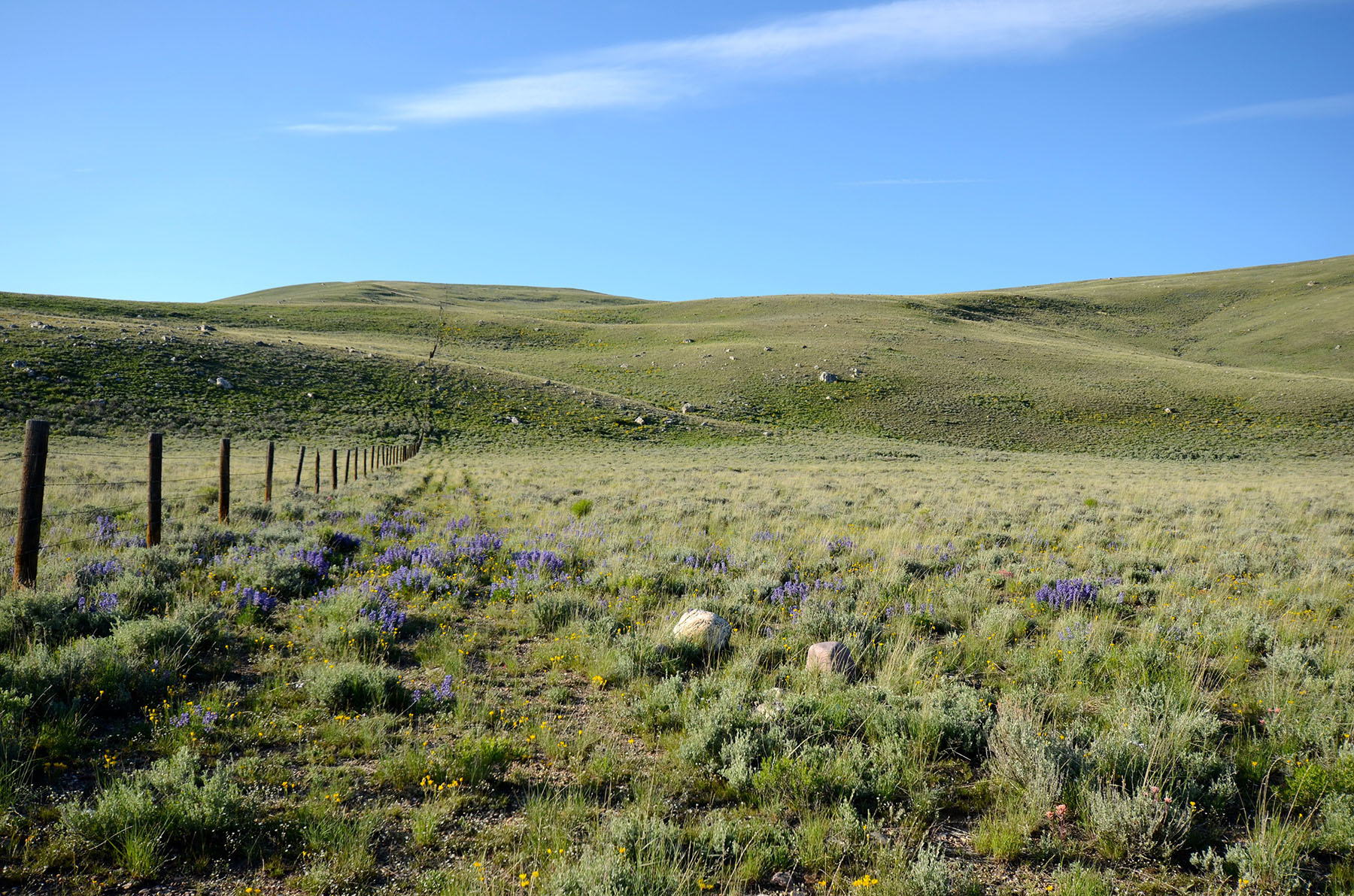 Little Lost River Valley Ranch property picture 91 of 96