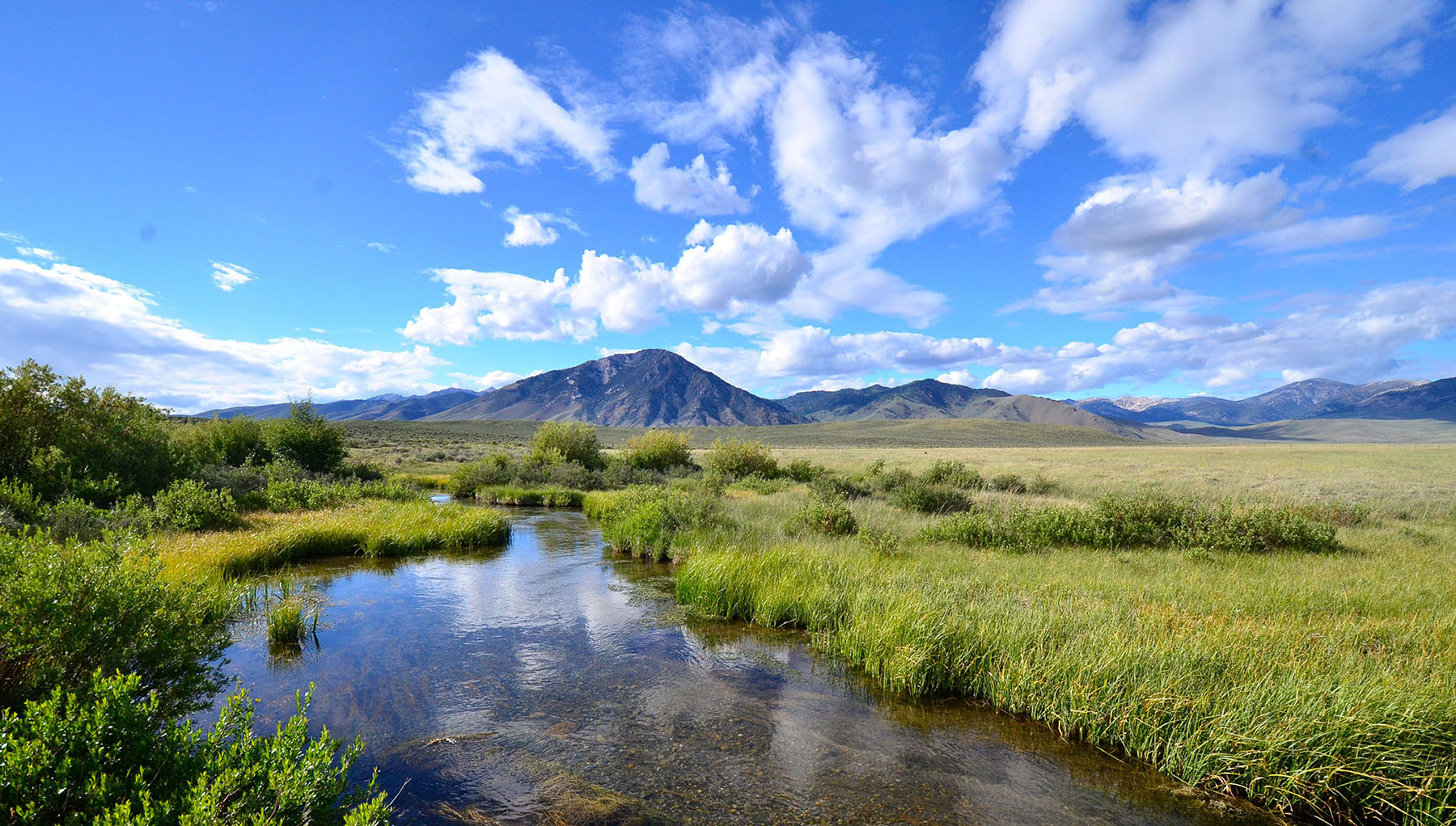 Little Lost River Valley Ranch property picture 79 of 96