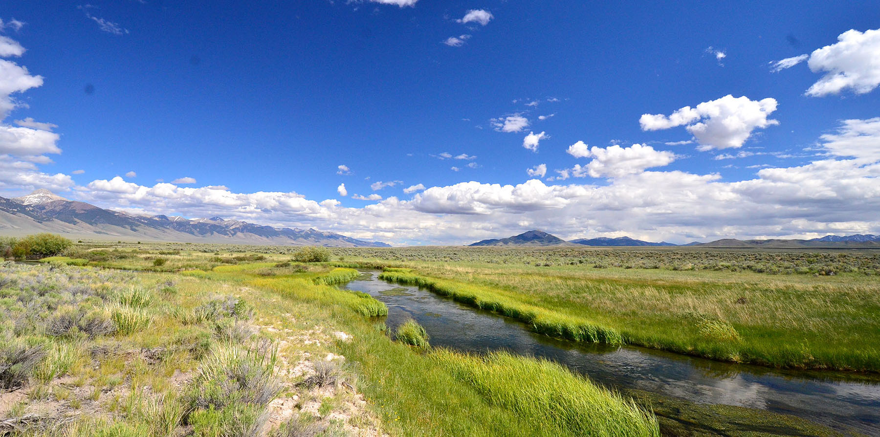 Little Lost River Valley Ranch property picture 75 of 96