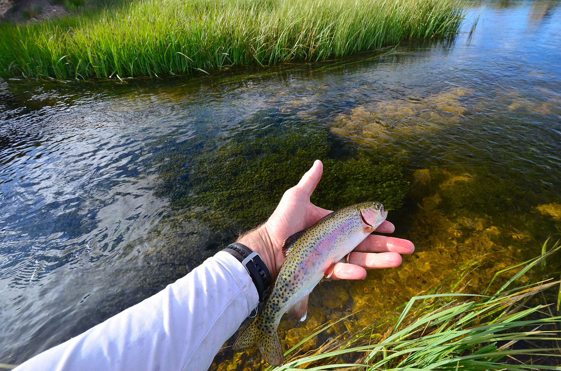 Little Lost River Valley Ranch property picture 28 of 96