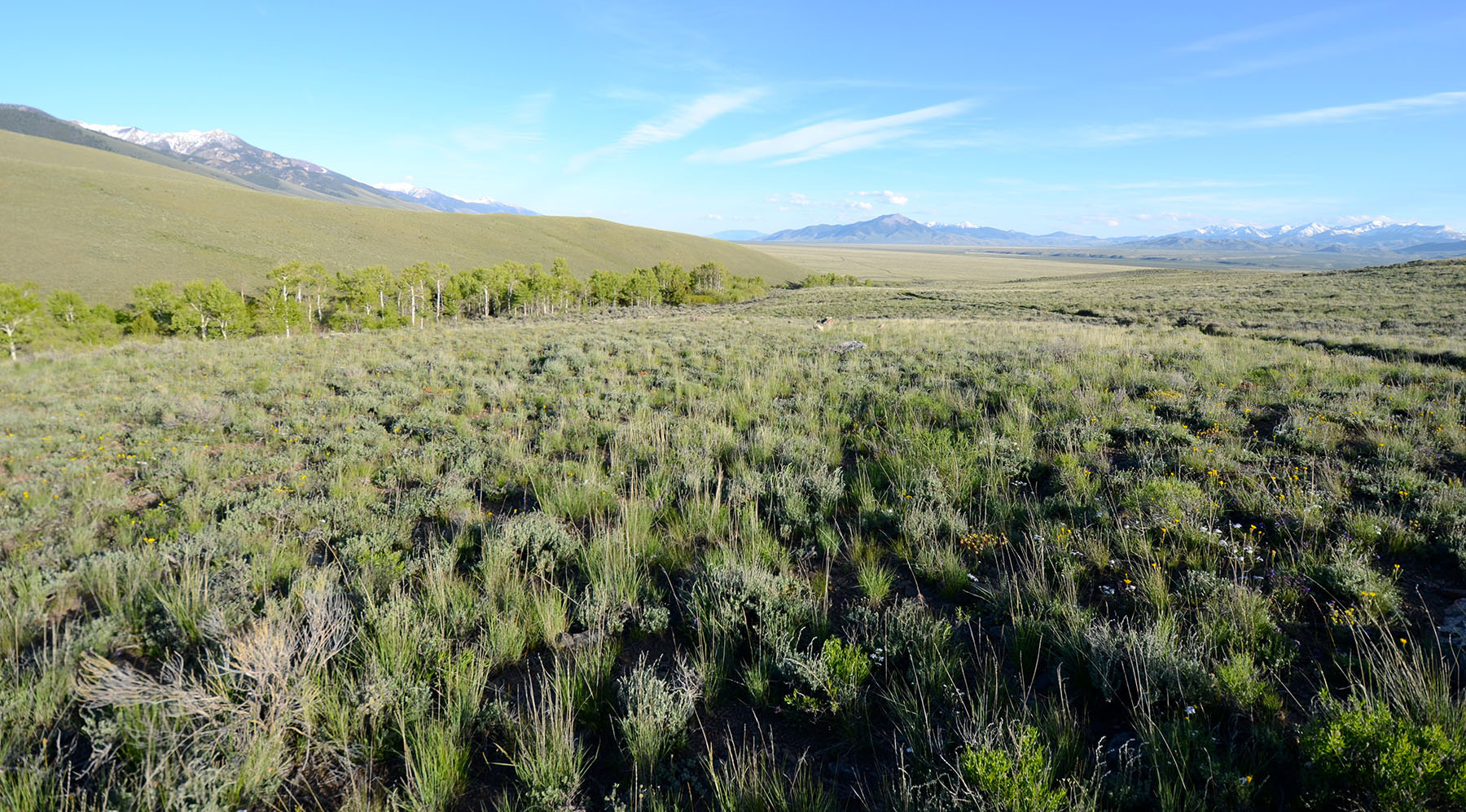 Little Lost River Valley Ranch property picture 92 of 96