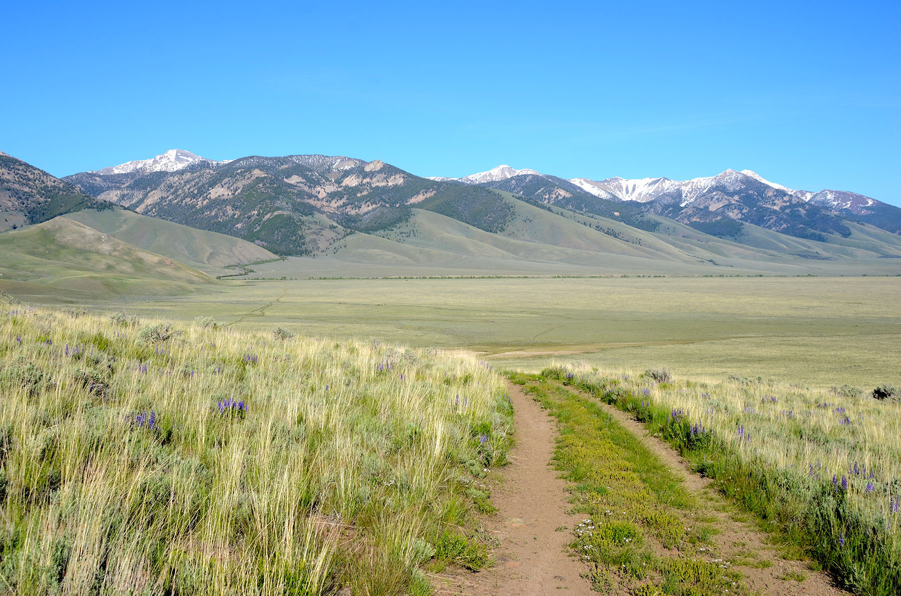 Little Lost River Valley Ranch property picture 87 of 96