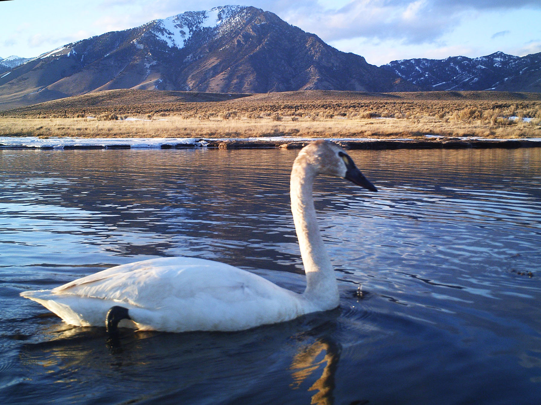 Little Lost River Valley Ranch property picture 57 of 96