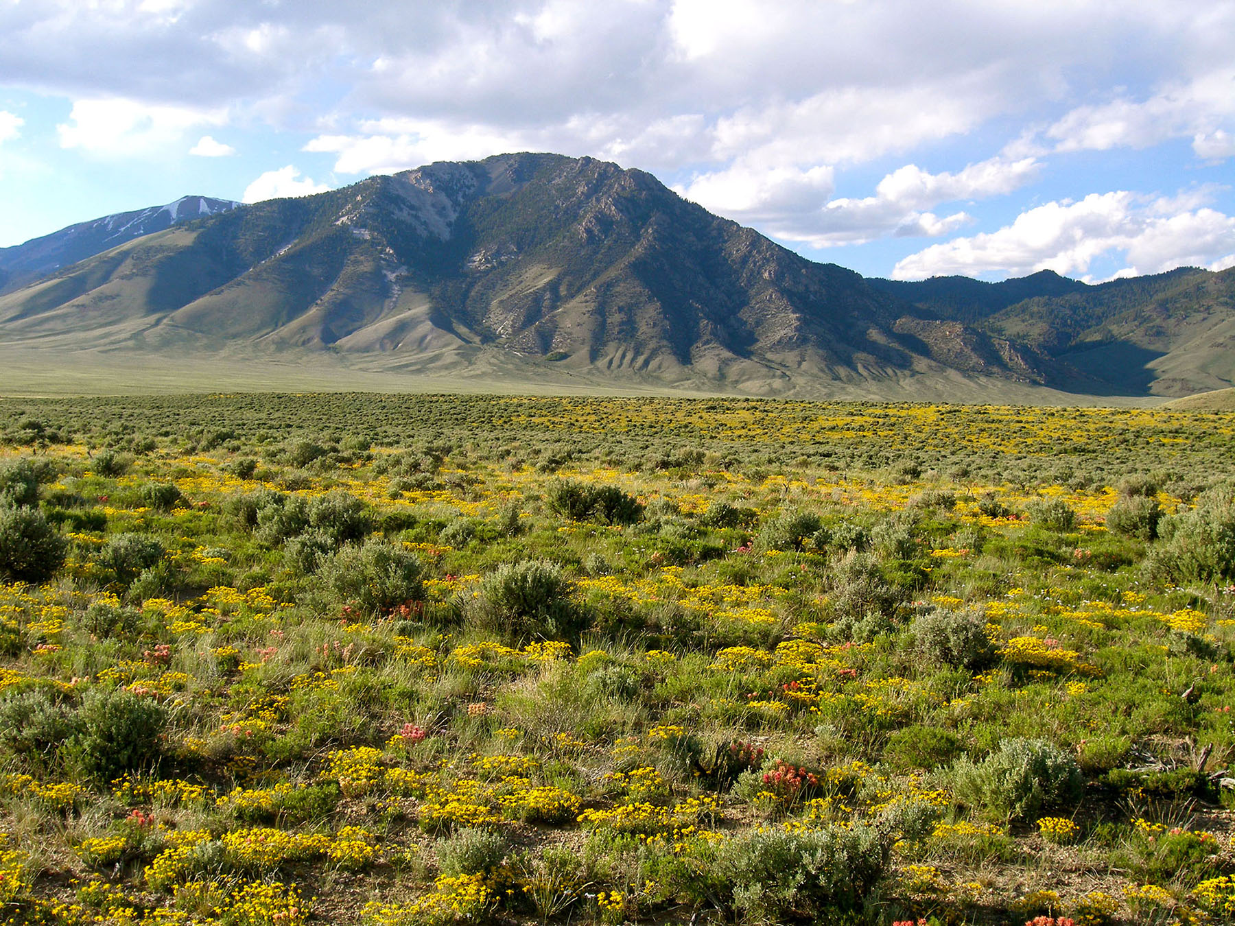 Little Lost River Valley Ranch property picture 34 of 96