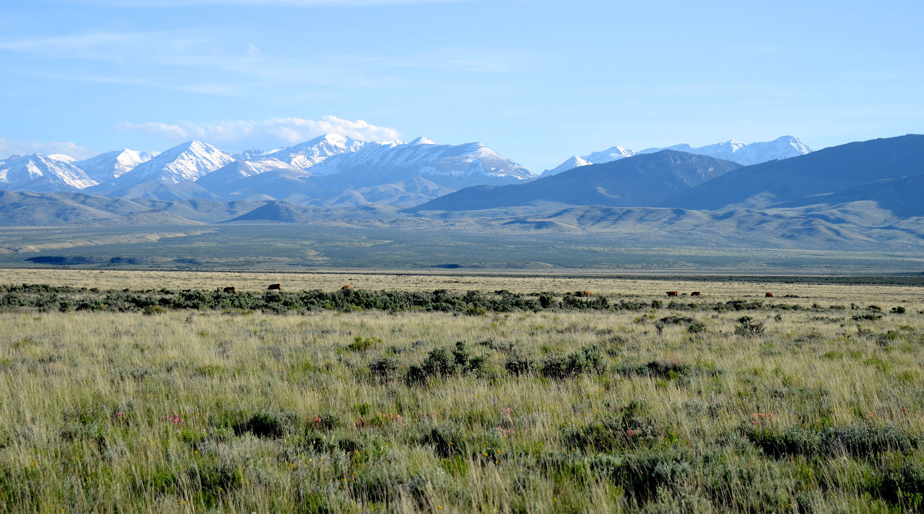 Little Lost River Valley Ranch property picture 83 of 96