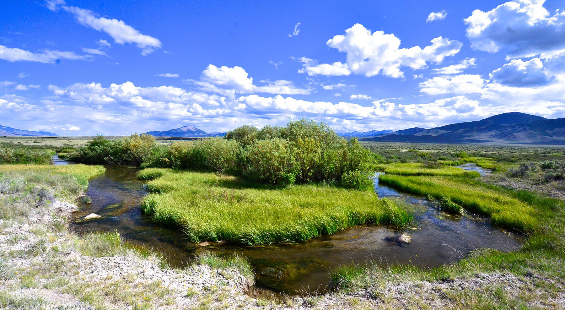Little Lost River Valley Ranch property picture 76 of 96