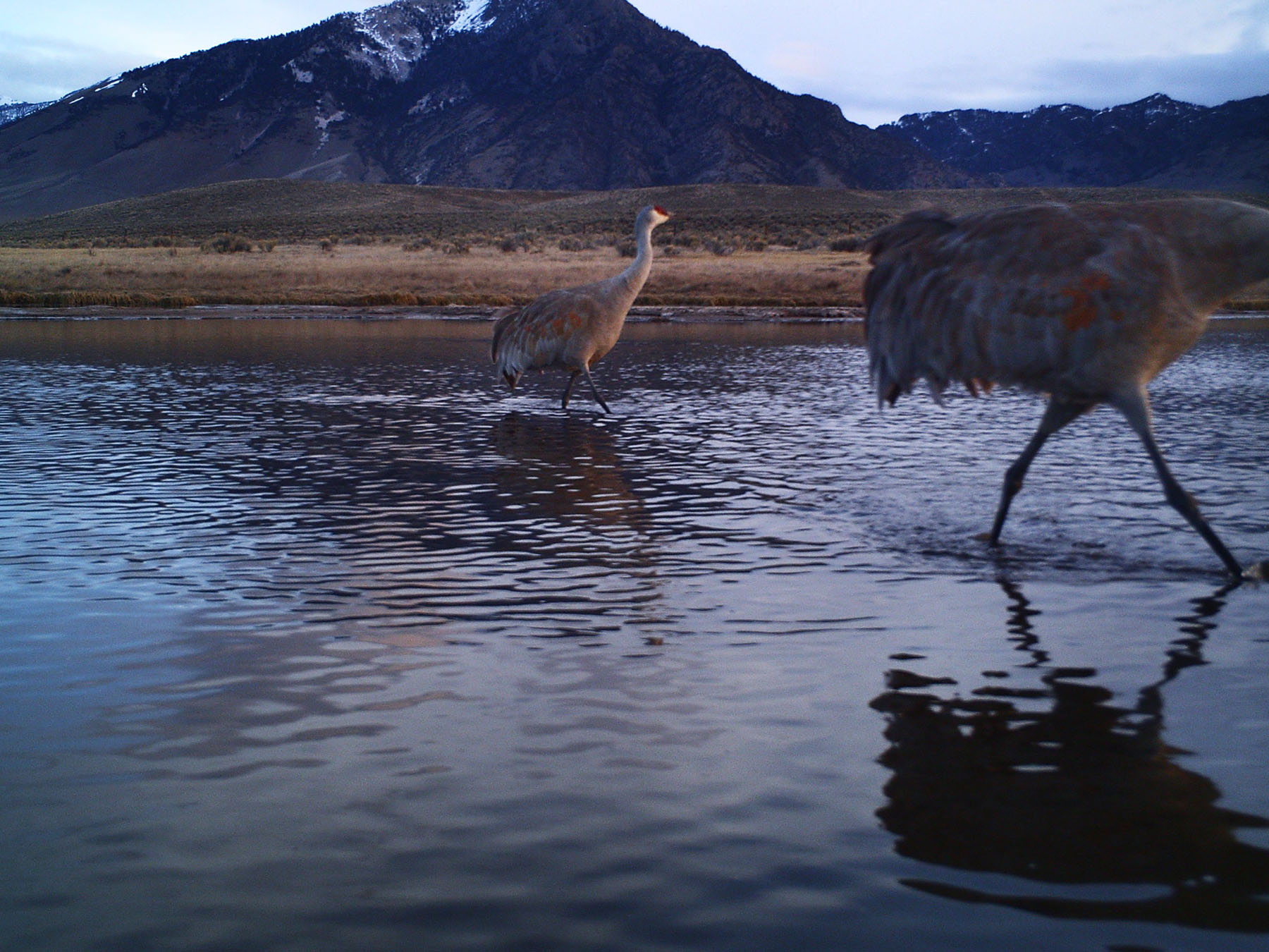 Little Lost River Valley Ranch property picture 59 of 96