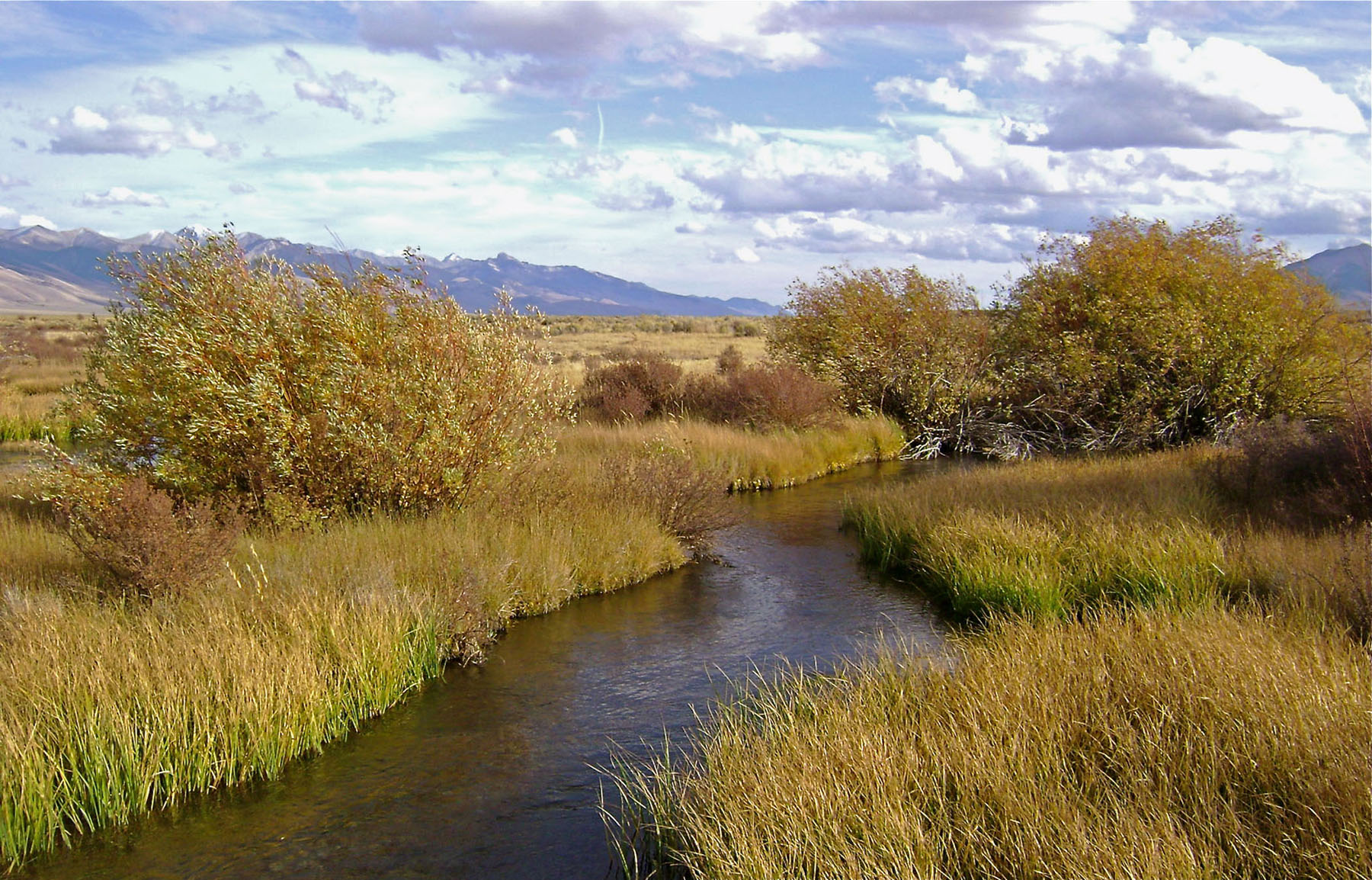 Little Lost River Valley Ranch property picture 49 of 96