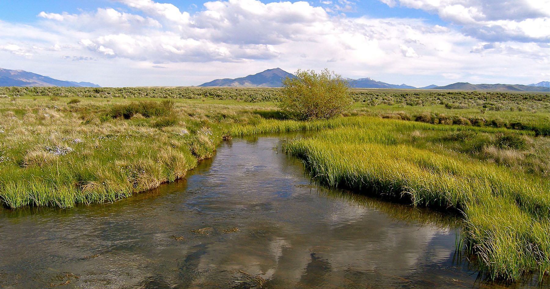 Little Lost River Valley Ranch property picture 44 of 96