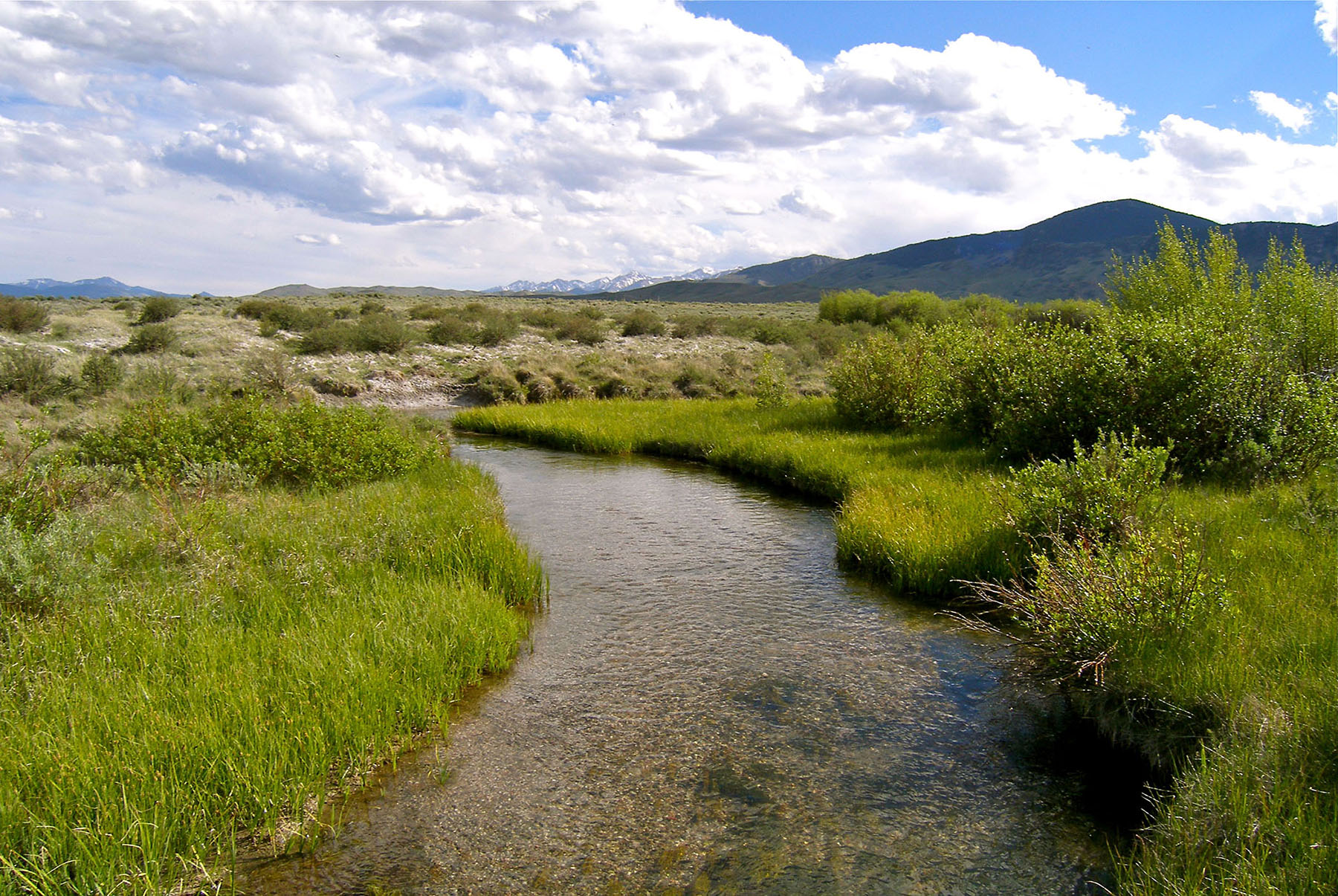 Little Lost River Valley Ranch property picture 42 of 96
