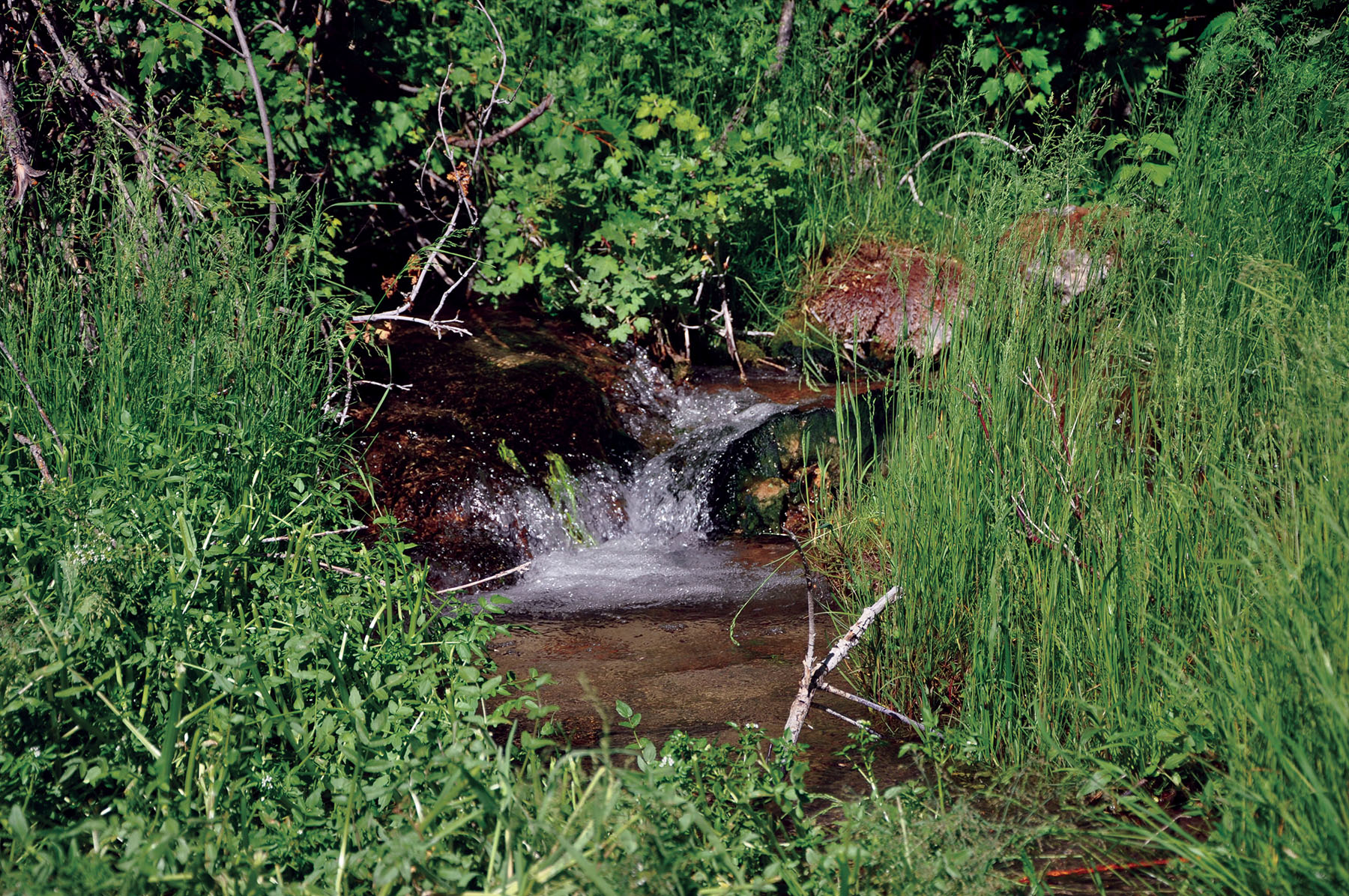 Hammer Ranch property picture 7 of 33